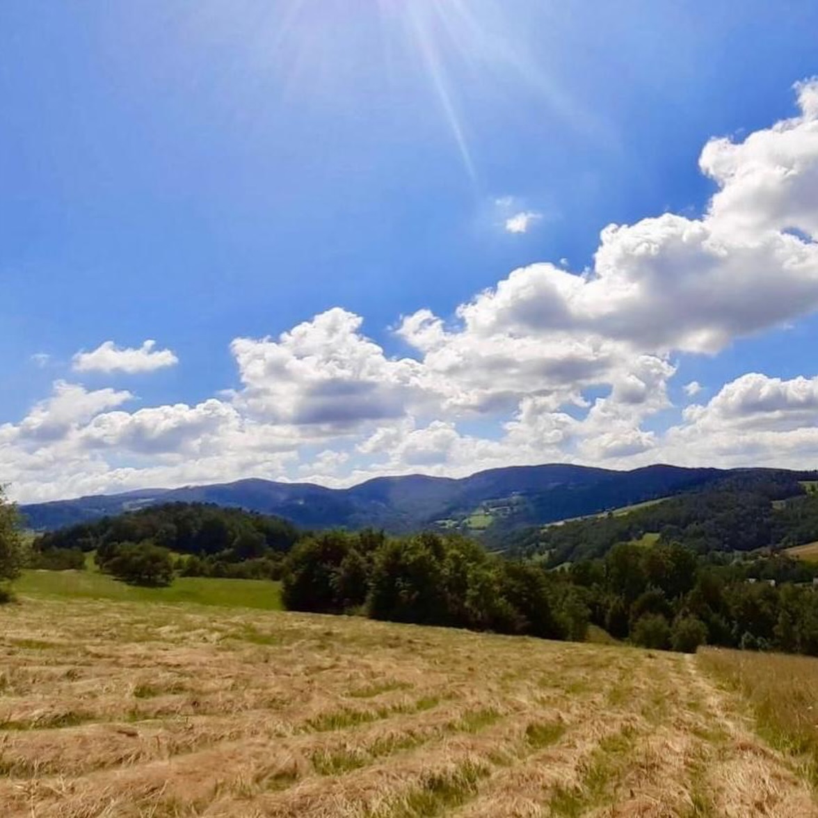 *REZERWACJA
💰390 tys. zł
Na sprzedaż wyjątkowa nieruchomość gruntowa składająca się z dwóch sąsiadujących działek: 358/4 oraz 358/6, oferowanych łącznie jako jedna spójna całość, położona w malowniczej Laskowej (powiat limanowski) 🌄✨
To miejsce, w którym spotykają się przestrzeń, widok, słońce i gotowa infrastruktura.
🏡 Działka 358/4
• ok. 760 m²
• wymiary ok. 25 × 30 m
• teren zabudowy mieszkaniowej jednorodzinnej
• było pozwolenie na budowę domu jednorodzinnego
• projekt zagospodarowania działki w cenie 📐
• prąd – skrzynka na działce ⚡
• światłowód 🌐
🌿 Działka 358/6
• blisko 2 hektary zielonej przestrzeni
• wymiary ok. 107 × 214 m
• teren bardzo nasłoneczniony, nachylony na południe ☀️
• otwarta panorama Beskidu Wyspowego
• idealna jako łąka widokowa, sad, przestrzeń rekreacyjna lub zielony bufor prywatności 🌳
🚗 Dojazd asfaltowy
Dostęp do drogi gminnej poprzez uregulowaną prawnie służebność przejazdu przez działki sąsiednie(dojazd utwardzony), wpisaną do ksiąg wieczystych 📜✔️
🌄 Widok & ekspozycja
Południowe nachylenie, światło przez cały dzień, idealne warunki pod taras, ogród i duże przeszklenia 🌞🏔️
🏘️ Laskowa – miejsce do życia
• szkoła, przedszkole, żłobek, przychodnia 🏫👶
• park z fontanną, jeziorkiem, placem zabaw i siłownią plenerową 🌳⛲
• sklepy, usługi, stacja paliw 🛒
• szlaki piesze, punkty widokowe, stok narciarski 🥾🎿
• blisko Jezioro Rożnowskie 🚣♀️
• coroczny festyn „Śliwki i Miodu” 🎶🎆
✨ To oferta dla osób, które szukają czegoś więcej niż działki.
To przestrzeń na dom z widokiem, słońcem i spokojem, ale z pełną infrastrukturą na co dzień.
To nie jest tylko zakup gruntu.
To decyzja o stylu i jakości życia. 🤍
_____________
📍Mszana Dolna, ul. Starowiejska 4C
☎️ tel. 798 370 312
📩 anna@apexkoncept.pl
🌐 www.apexkoncept.pl
#działkanasprzedaż #Laskowa #BeskidWyspowy #nieruchomosci #działkawidokowa