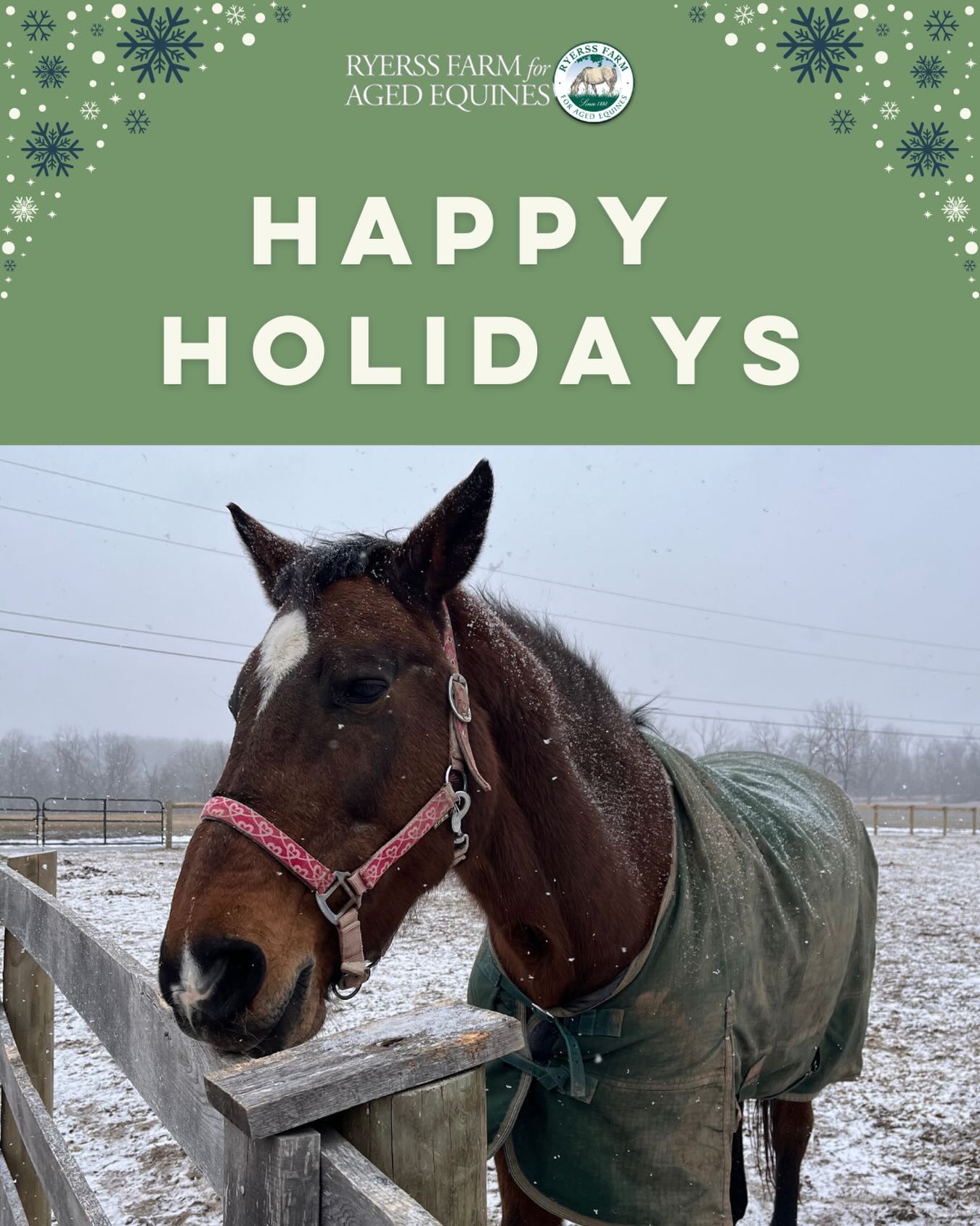 Happy Holidays from Ryerss Farm! 🐴✨ We hope you have a joyful and memorable celebration with your loved ones. If you’re looking for a unique holiday outing, spend time with our beloved residents, enjoy the serenity of nature, explore our gift shop, and experience the joy of equine retirement—all at no cost.
We are open daily from 10 AM to 4 PM, including holidays. Please note our holiday gift shop hours:
Christmas Eve: 10 AM – 1 PM
Christmas Day: Closed
New Year’s Eve: 10 AM – 1 PM
New Year’s Day: Closed