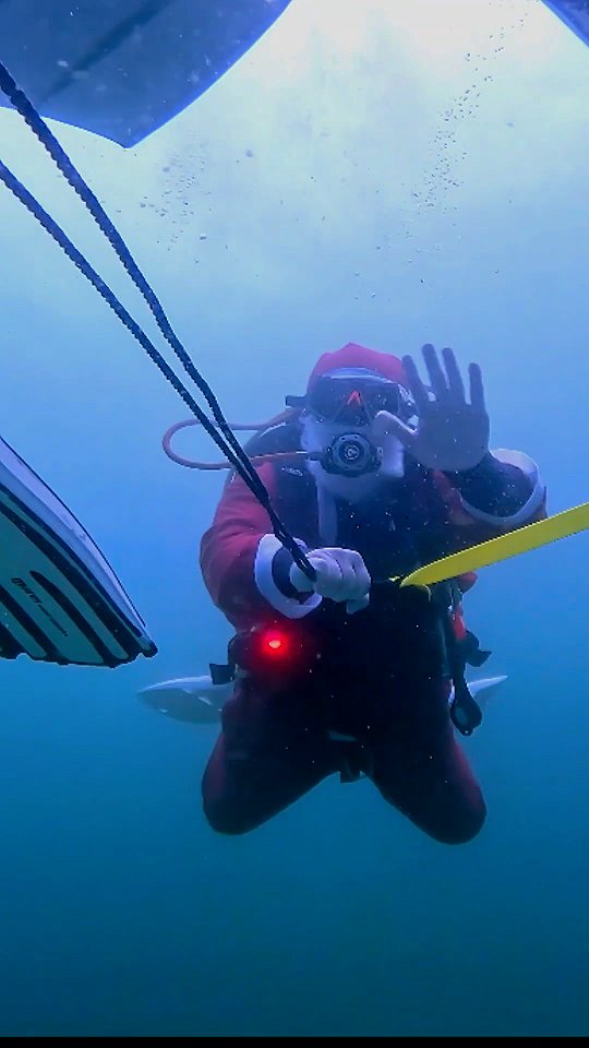 Happy Holidays from Dive Tribe!🎄🦌
May your holidays be joyful and your dives unforgettable 🤿💙