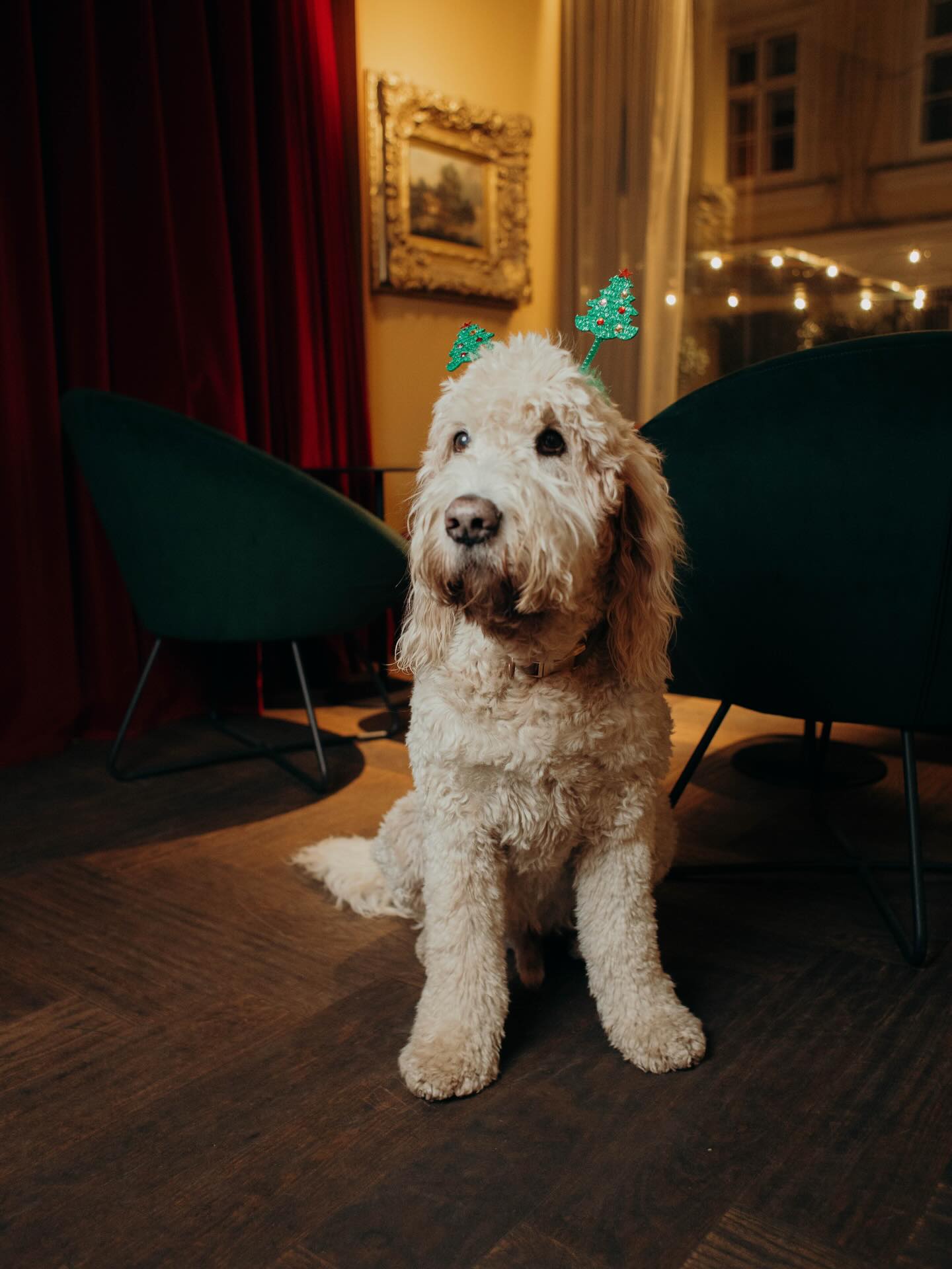 🎄🥂 Das gesamte Team der LVDWIG Bar wünscht euch frohe Weihnachten.🎄🥂
Genießt die Feiertage und schöne Momente mit euren Liebsten.
Auch Leopold 🐶 schickt euch flauschige weihnachtliche Grüße. 🤎
Unsere Öffnungszeiten für die Feiertage sind wie folgt:
Montag, 22.12. 17:00-02:00 offen
Dienstag, 23.12. 17:00-02:00 offen
Mittwoch, 24.12. 17:00-23:00 offen
Donnerstag, 25.12. 17:00-23:00 offen
Freitag, 26.12. 17:00-23:00 offen
Samstag, 2712. 17:00-02:00 offen