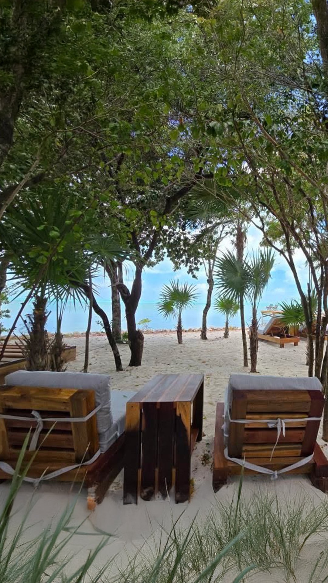 Waxing Crescent Moon in Aquarius | Integrating the Sagittarius New Moon
�I am Ix Chel, and I widen the horizon with you.�The Moon has moved into Aquarius, lifting our gaze outward after last week’s Sagittarius New Moon. Where Sagittarius planted vision and meaning, Aquarius invites us to see how that vision connects to something larger than ourselves.
�This Waxing Crescent Moon marks the first visible growth of the cycle. What was seeded under the New Moon now begins to take shape through awareness, perspective, and community. Aquarius energy is spacious and future-minded. It asks us to step back, breathe, and remember that we are not walking this path alone.
�Aquarius reminds us that freedom is not escape. It is alignment. When we honor our individuality while staying connected to the whole, innovation and healing flow naturally.
Energy to Work With:
�• Observe your thoughts without attachment. Let clarity arise through spaciousness.
�• Connect with others through honest conversation or shared intention.
�• Write down one idea or insight that feels ahead of its time but true for you.
Reflection Prompt:
�How can my personal vision serve something greater than myself?
The Moon grows quietly now, weaving intention into possibility. Each step forward is guided not by force, but by trust in the unseen currents.
Moon Mondays open the doorway. Our Moon Portal workshops take us deeper into the work of embodiment and alignment. Send us a message to be added to the list for our next gathering.
#MoonMonday #WaxingCrescentMoon #AquariusMoon #SagittariusNewMoon #LunarWisdom #MoonCycles #AstrologyRitual #EnergyAlignment #CollectiveHealing #SpiritualReflection #IntuitiveLiving #MoonMagic #Embodiment #AlignmentWork #WellnessRitual #IxChel #IxChelWellness #MoonPortal #HolisticWellness #SpiritualCommunity