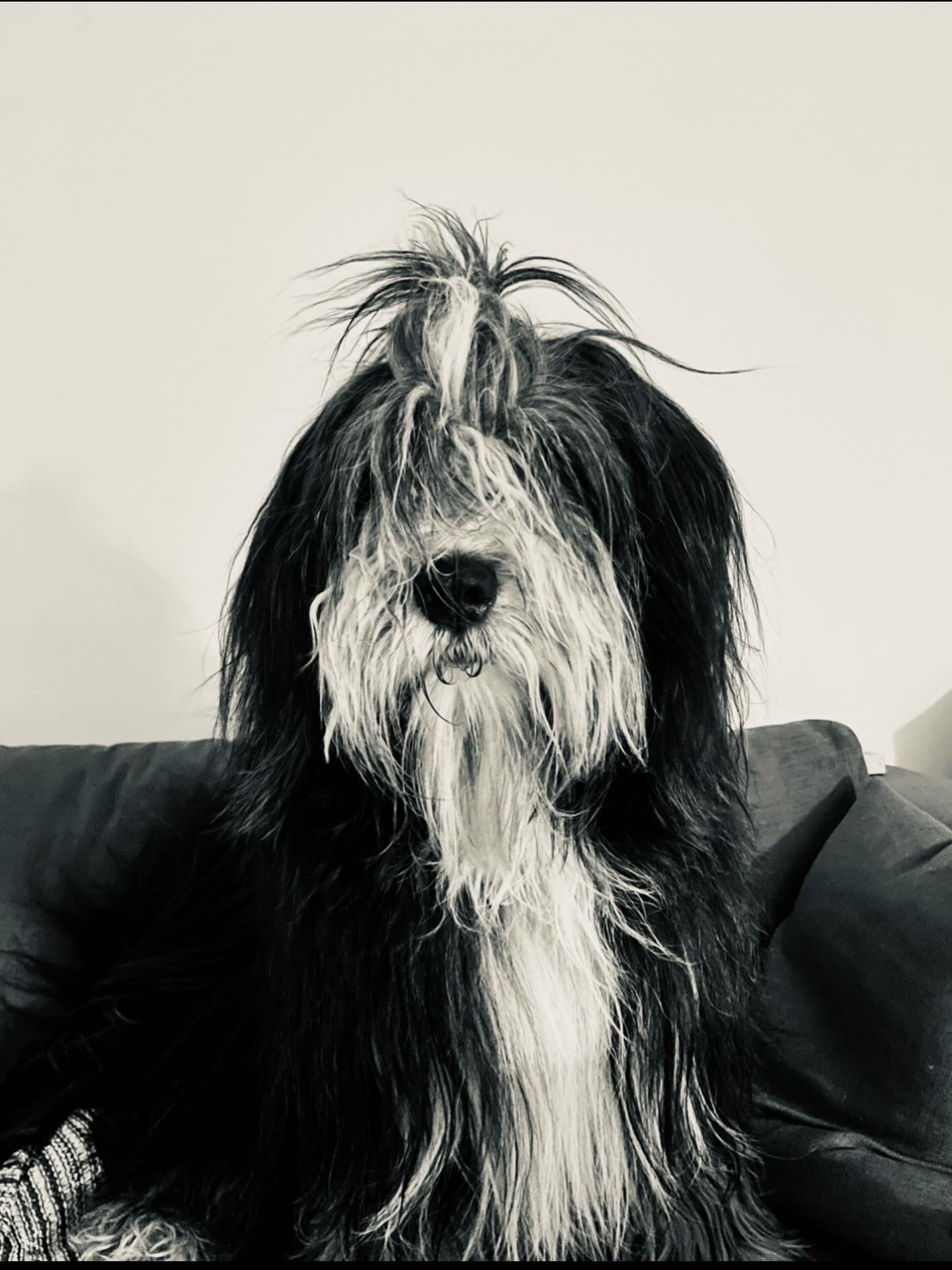 Grateful for every class, every sweat & every smile.
Thank you for being part of YEAH! 🤍
Happy Holidays ✨
we will be back 2.1.