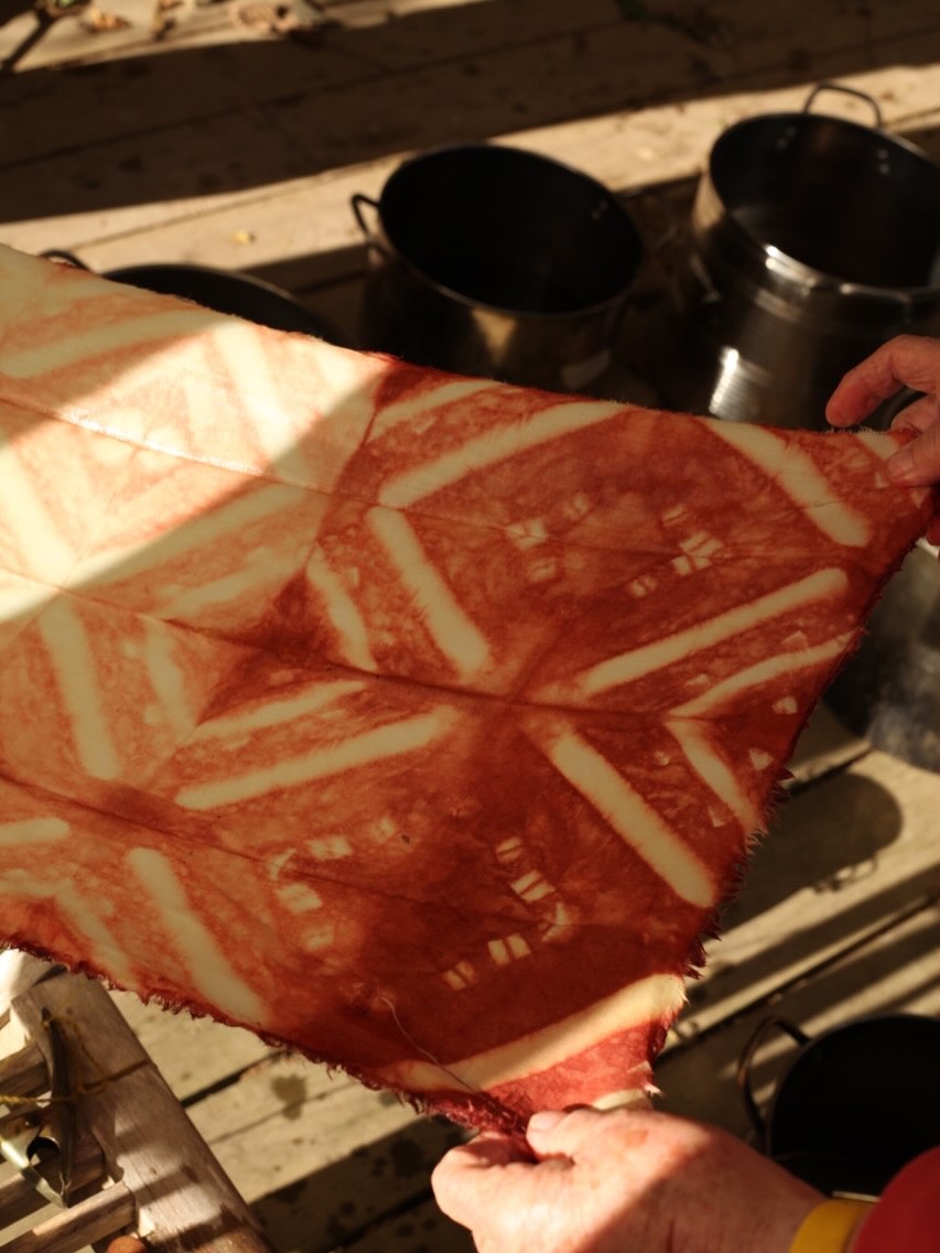 Colour from madder roots. This amazing reddy- pink colour comes from madder roots. It takes 4 years to grow roots thick enough to extract a good amount of colour - a patience game! Harvesting them in winter is like digging for treasure- digging to find the orangy red root and searching for the very distinctive smell. Natural dying for me is about the alchemy of producing colour from plants and a form of mindfulness that connects me with the abundance of nature. Would you like to find out more? I have courses running on the 31st jan @artcentrepenryn and @potager_garden on 20th March.
#naturaldyes #madderroot #forage #naturaldyeworkshops #natureconnection