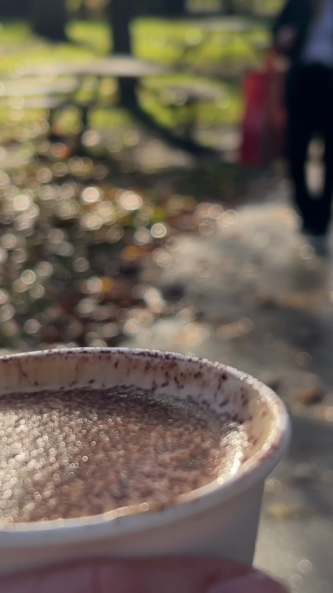 Catching those rare moments of winter sun in Ravenscourt Park. ☀️🌿
There is a quiet beauty to the gardens this time of year, especially when the light hits just right. Whether you’re on your daily dog walk or simply taking a moment for a crisp park stroll, we’ve got a warm cup of @curious_roo coffee waiting for you at Paddenswick Tea Gardens.
Paddenswick festive opening times:
Closed 26th Dec
26th Dec 10.00 - 3.30pm (hot food until 3pm)
27th - 31st Dec 9.00 -3.30pm (hot food until 3pm)
1st Jan 10.00am - 3.30pm (hot food until 3pm)
#PaddenswickTeaGardens #RavenscourtPark #LondonParks #WinterStrolls #RootsAndBerries #LondonCoffee #NatureInTheCity