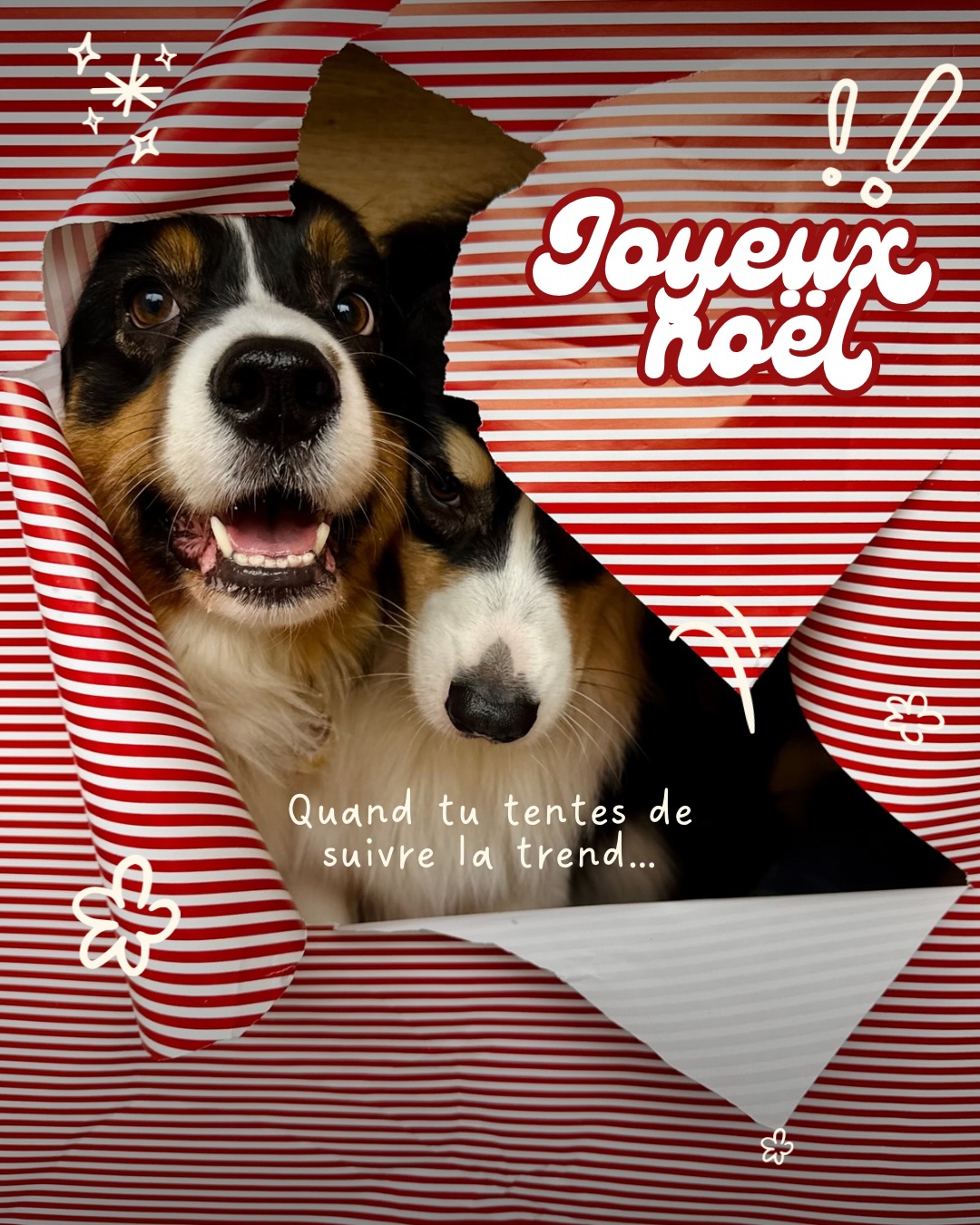 ✨ JOYEUX NOËL À TOUS 🎄
En cette période si douce, je tenais à vous dire merci, du fond du cœur.
Merci pour votre présence, votre fidélité, vos messages, votre bienveillance… et bien sûr merci infiniment pour toutes vos commandes, qui font vivre cette belle aventure chaque jour ✨
Vous êtes bien plus qu’une communauté, vous êtes une vraie troupe, et c’est une immense chance de vous avoir à mes côtés. ❤️
Je vous souhaite à tous un très joyeux Noël, rempli d’amour, de rires, de moments précieux, et de câlins (humains et poilus 🐶).
Profitez de chaque instant, savourez, aimez, partagez 🤍
Encore merci pour tout, et à très vite pour la suite de l’aventure ✨
Avec tout notre amour,
#noël #merrychristmas #dog