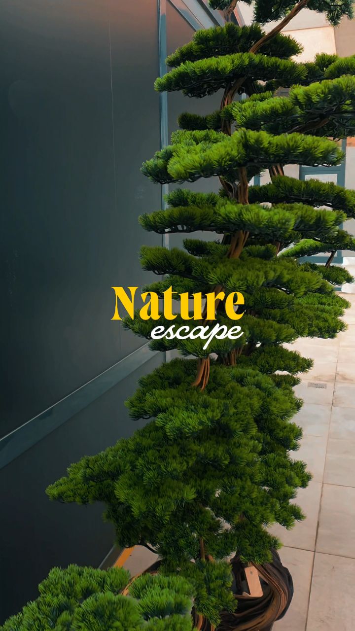 Bonaverte / for luxury #artificialbonsai #homedecor #luxurydecoration #dekoratifağaçlar #dekorasyonürünleri