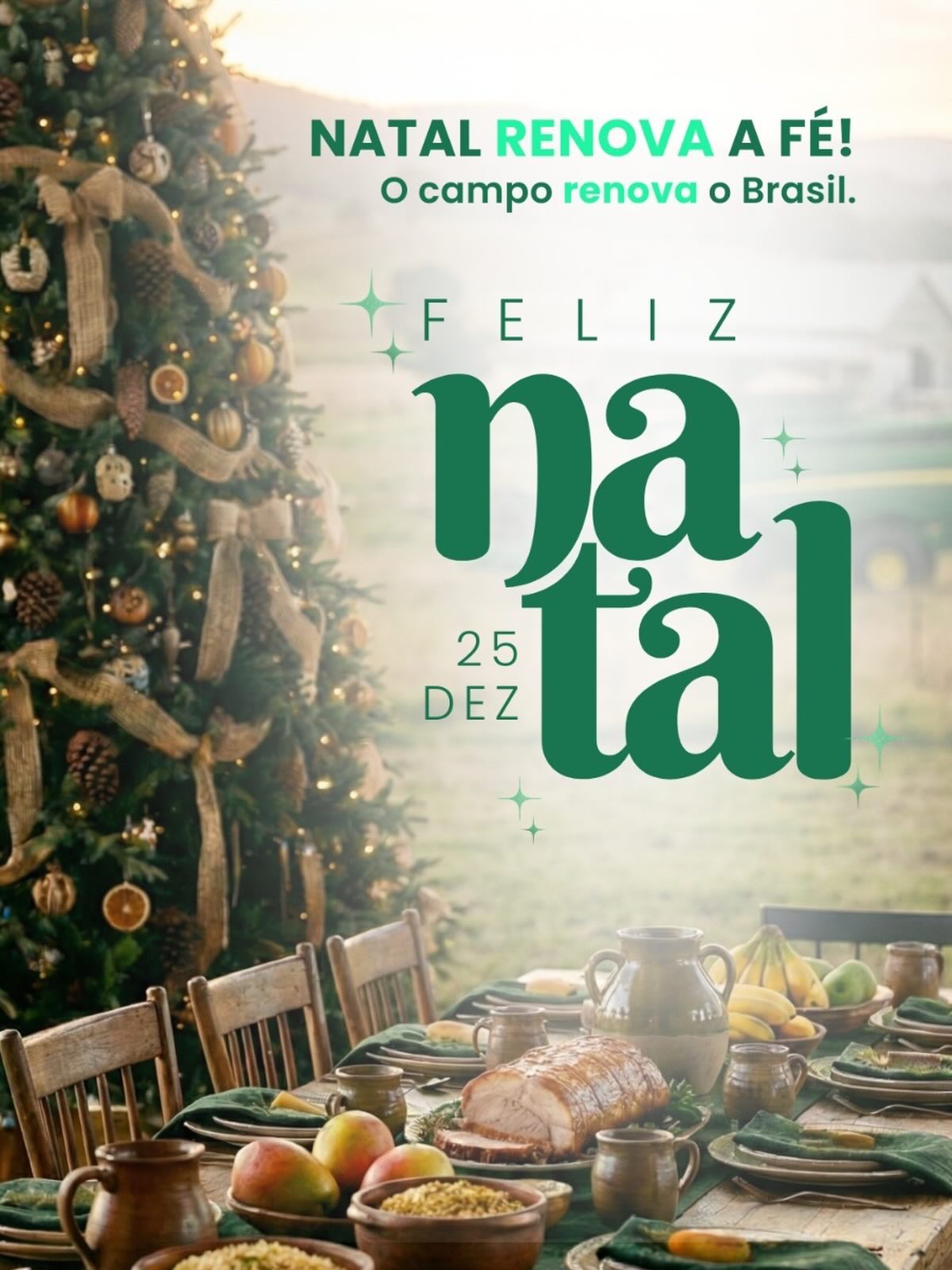 Neste Natal, a Agronorte agradece a confian