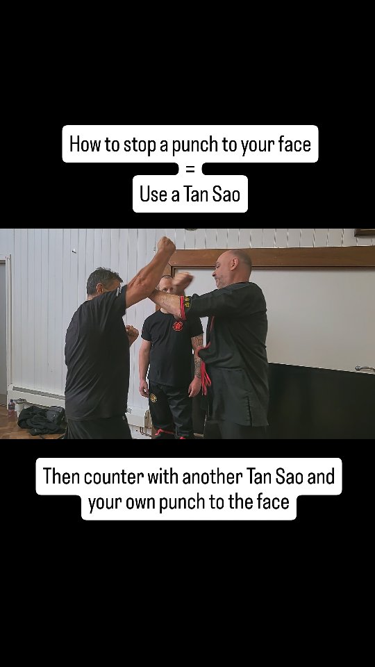 How to stop a punch to your face...
Use a strong, solid, well trained colliding Tan Sao
(but not a yielding one, that's dangerous)
#wingchun #selfdefense #wingtsun #yourownsecurity #sat