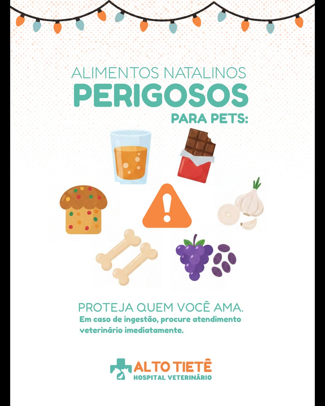 🎅✨ Eles fazem parte da família, mas não da ceia.
Durante as festas de fim de ano, é comum que os pets tentem “roubar” alguma delícia natalina. Mas cuidado! Muitos alimentos típicos do Natal podem ser tóxicos ou até fatais para cães e gatos.
❌ Chocolate, uvas-passas, ossos, panetone, temperos e até aquele restinho da ceia podem causar intoxicações, obstruções ou danos ao fígado e rins.
👩⚕️ Em caso de ingestão acidental, procure atendimento imediato. Nossa emergência 24h está disponível todos os dias inclusive no Natal.
💙 Cuide com responsabilidade. Eles dependem de nós.
#NatalPetSeguro #CuidadosComPets #HospitalVeterinário #VeterináriaResponsável #Arujá #EmergênciaVeterinária #PetsNoNatal #FimDeAnoSeguro #SaúdeAnimal
