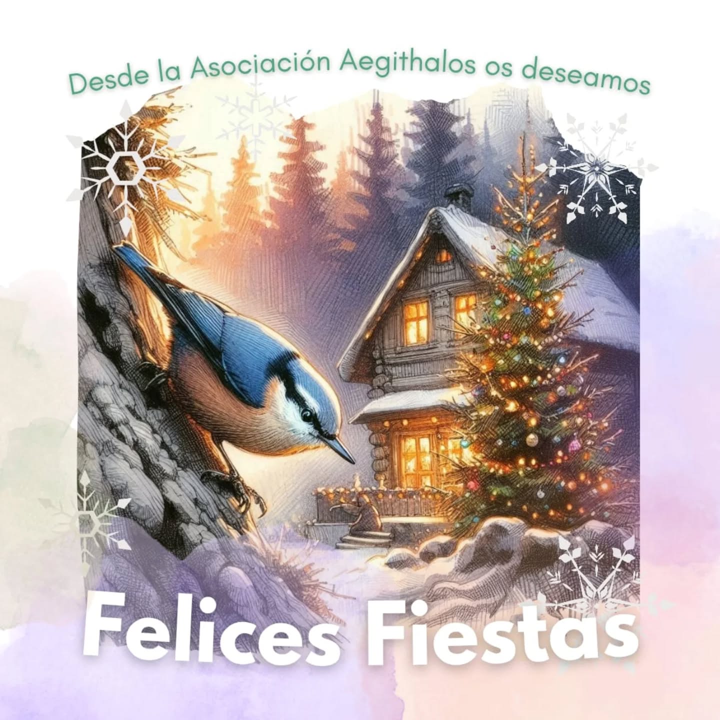 Desde la Junta Directiva de la Asociación Aegithalos, os deseamos una Navidad 🌲 llena de paz y un Año Nuevo donde sigamos volando juntos hacia la conservación de nuestra biodiversidad.🐦🦇🦎
Que estas fiestas sean el nido 🪺 de grandes alegrías y el inicio de un año próspero para todos.
Que la naturaleza nos siga uniendo en 2026
¡Felices fiestas!
#asociaciónaegithalos #felicesfiestas🎄 #feliznavidad🎄
