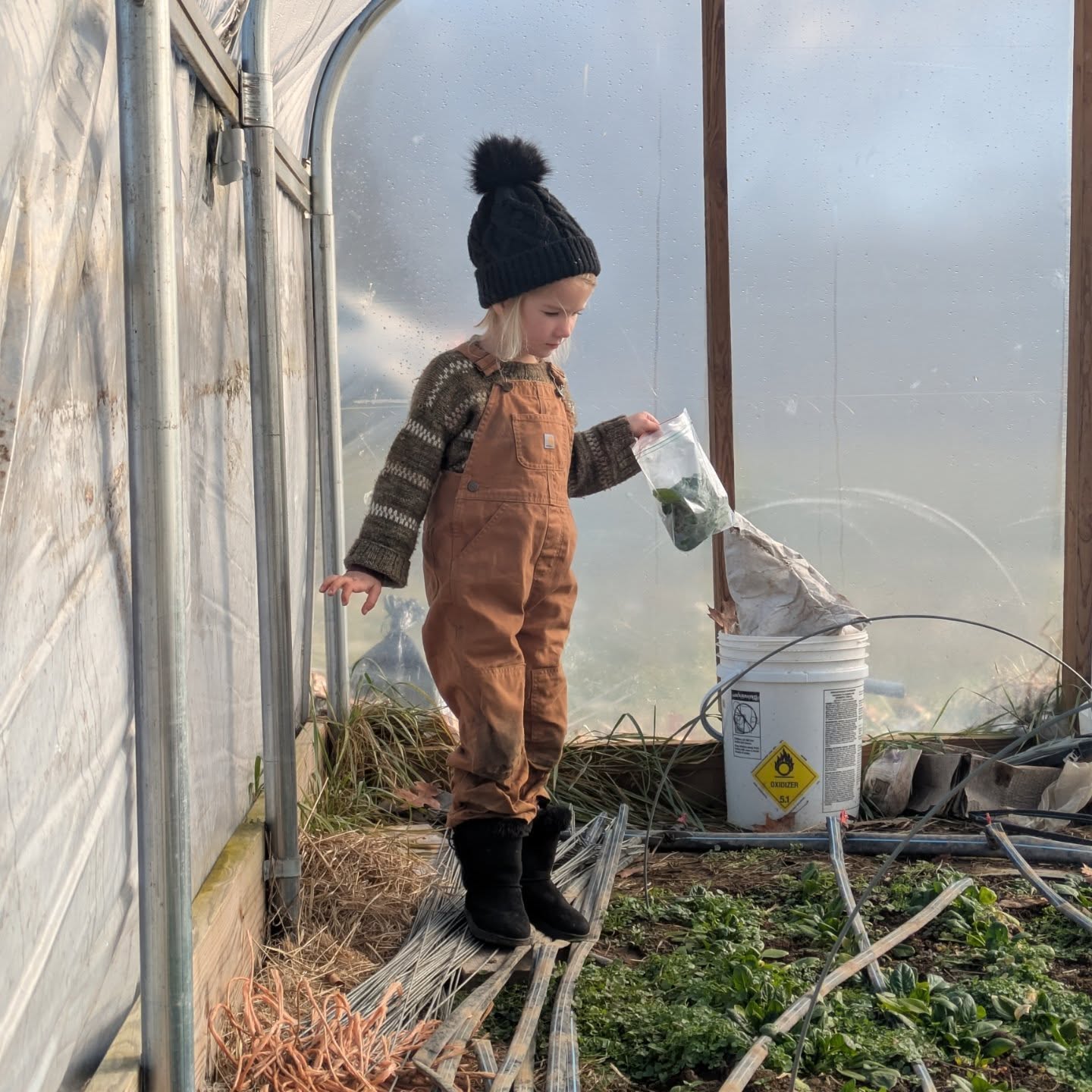 Happy solstice folks! The longest night of the year. We've been making the most of these short cozy days and not posting (or farming) much, so here are the highlights. Hope your holidays are wonderful. ❄️❄️❄️