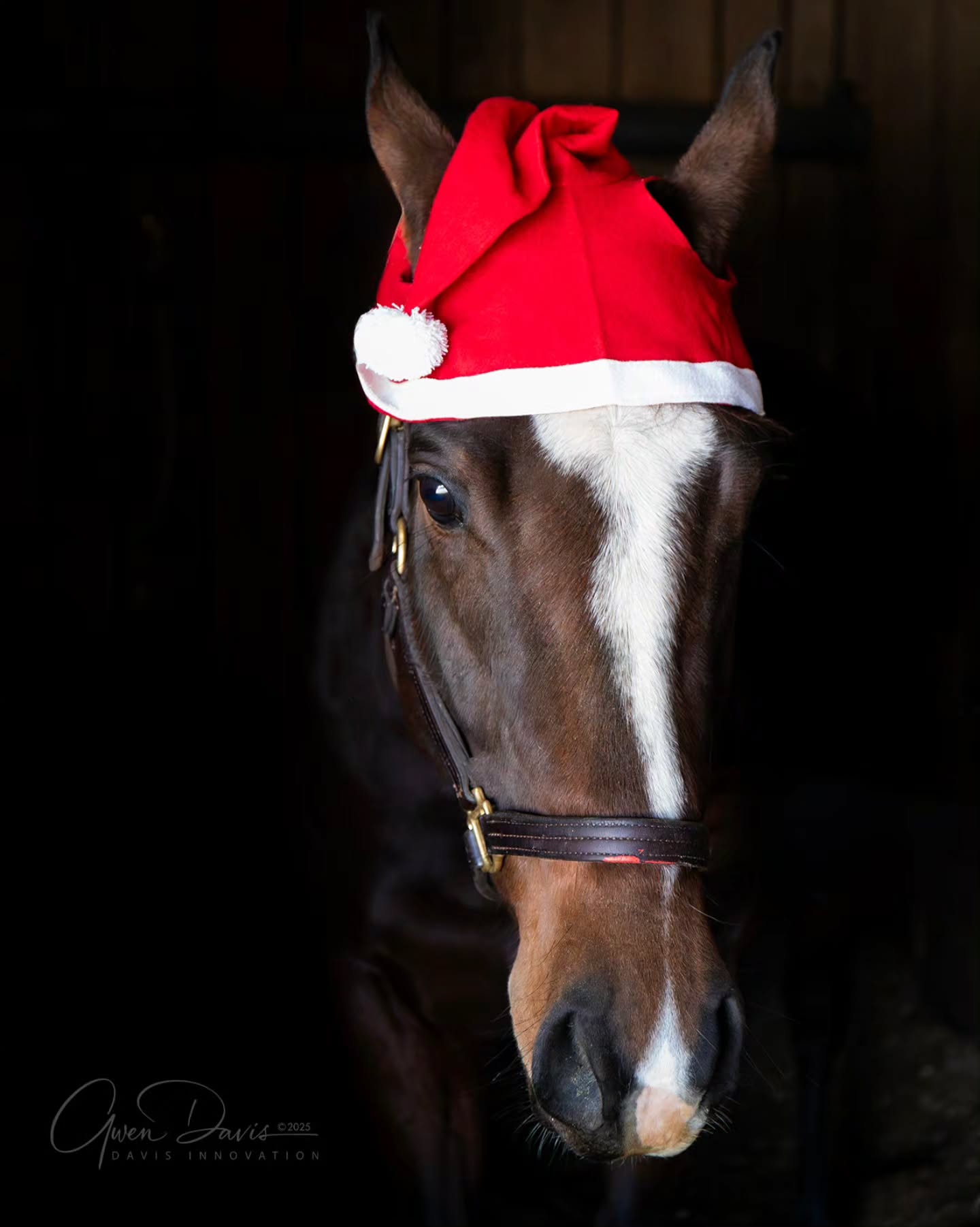 Classic Appeal and our other 'elves' are ready. ๐ ๐
Are you??