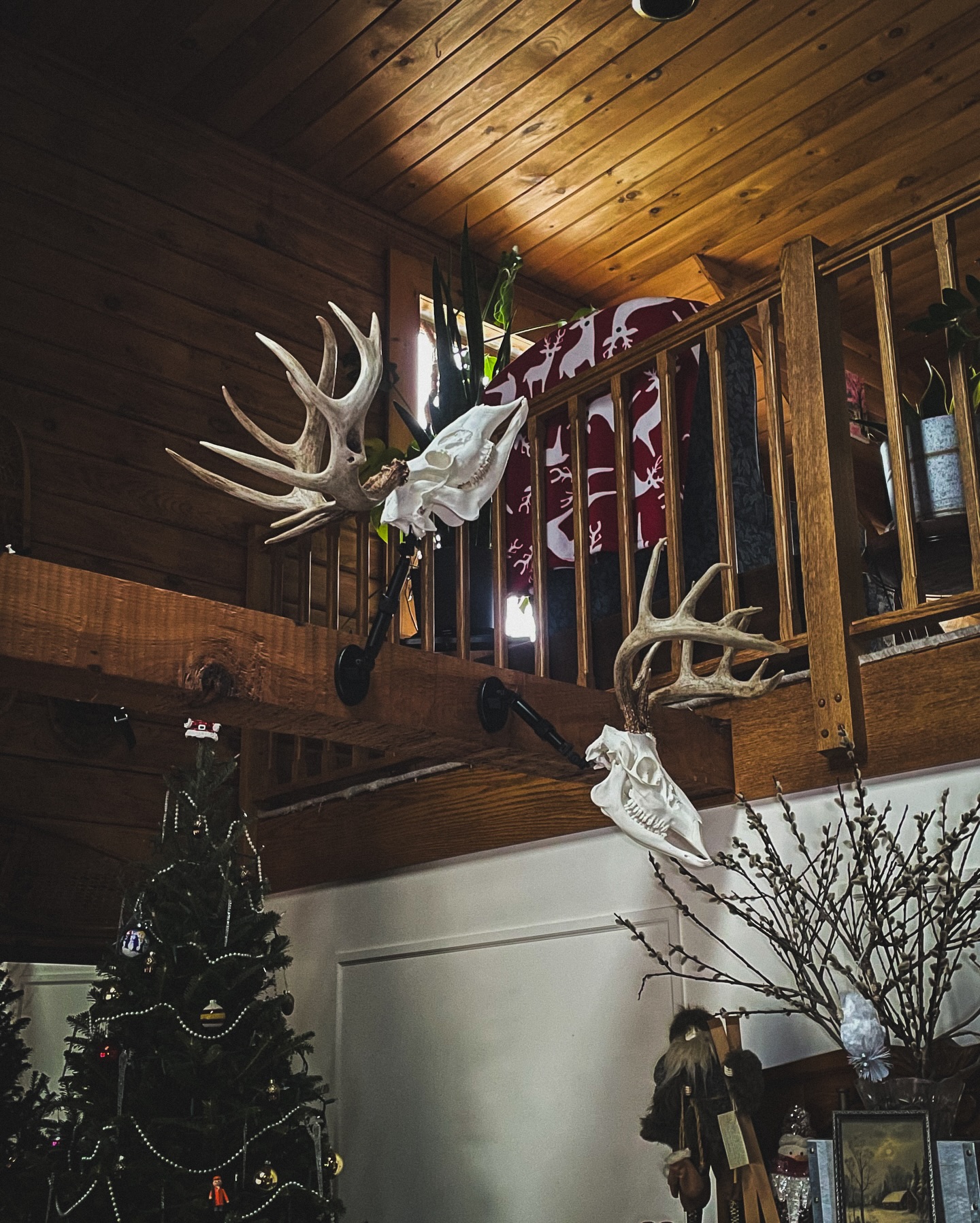 We just had another happy customer send this photo our way. Jay said he wanted the look of one buck hitting a licking branch and another pawing the ground. We think it turned out phenomenally well! This type of articulation can only be done with our patent pending UX1 telescopic arm/system. Love it? Link is in our bio.
.
.
.
#uroadx #euromount #deerhunting #taxidermy #europeanmount