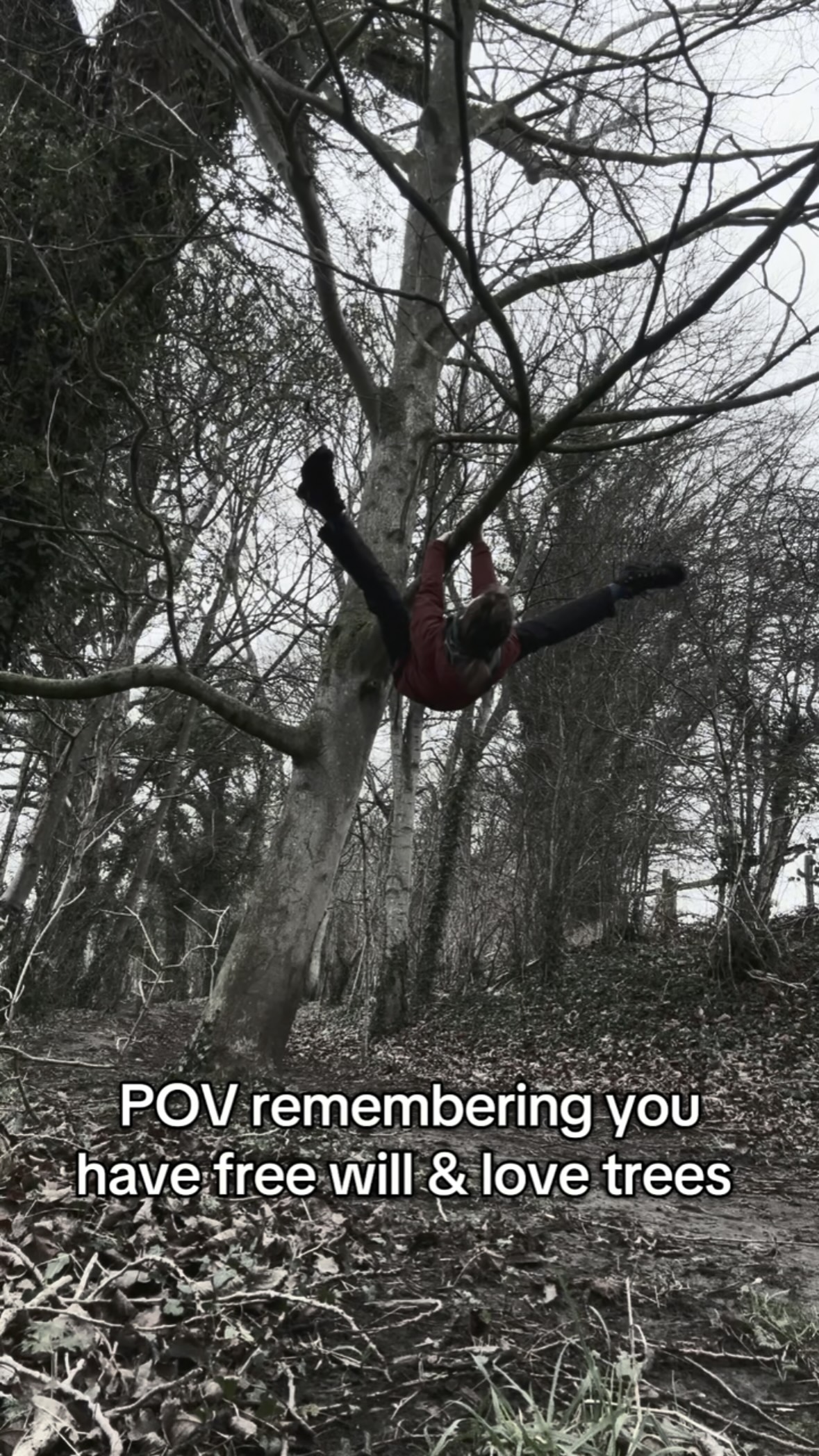 🌳
.
#tree #pole #climb #stronggirl #nature