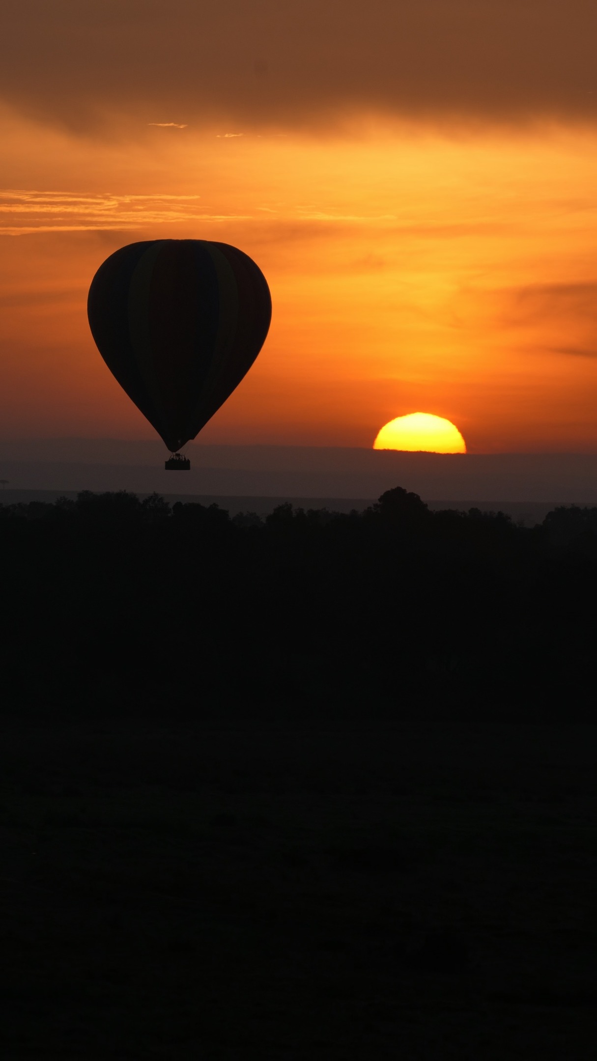 Wild hearts, endless horizons. 🐾
From golden savannah sunsets to close-up big cat encounters, Kenya is calling.
Ready to turn your dream safari into a real adventure with Trip Quest?
✨ Save this reel & share with your travel buddy
✨ DM us “KENYA” for dates, prices & custom itineraries
.
.
.
.
.
.
.
#TripQuestSafaris #KenyaSafari #MagicalKenya #MasaiMara #Amboseli #Nakuru #Naivasha #SafariVibes #WildlifePhotography #BigFive #SafariLife #BucketListTravel #AfricaTravel #TravelReels #ExploreMore #VisitKenya #LuxurySafari #EcoTravel #TravelWithPurpose #Wanderlust