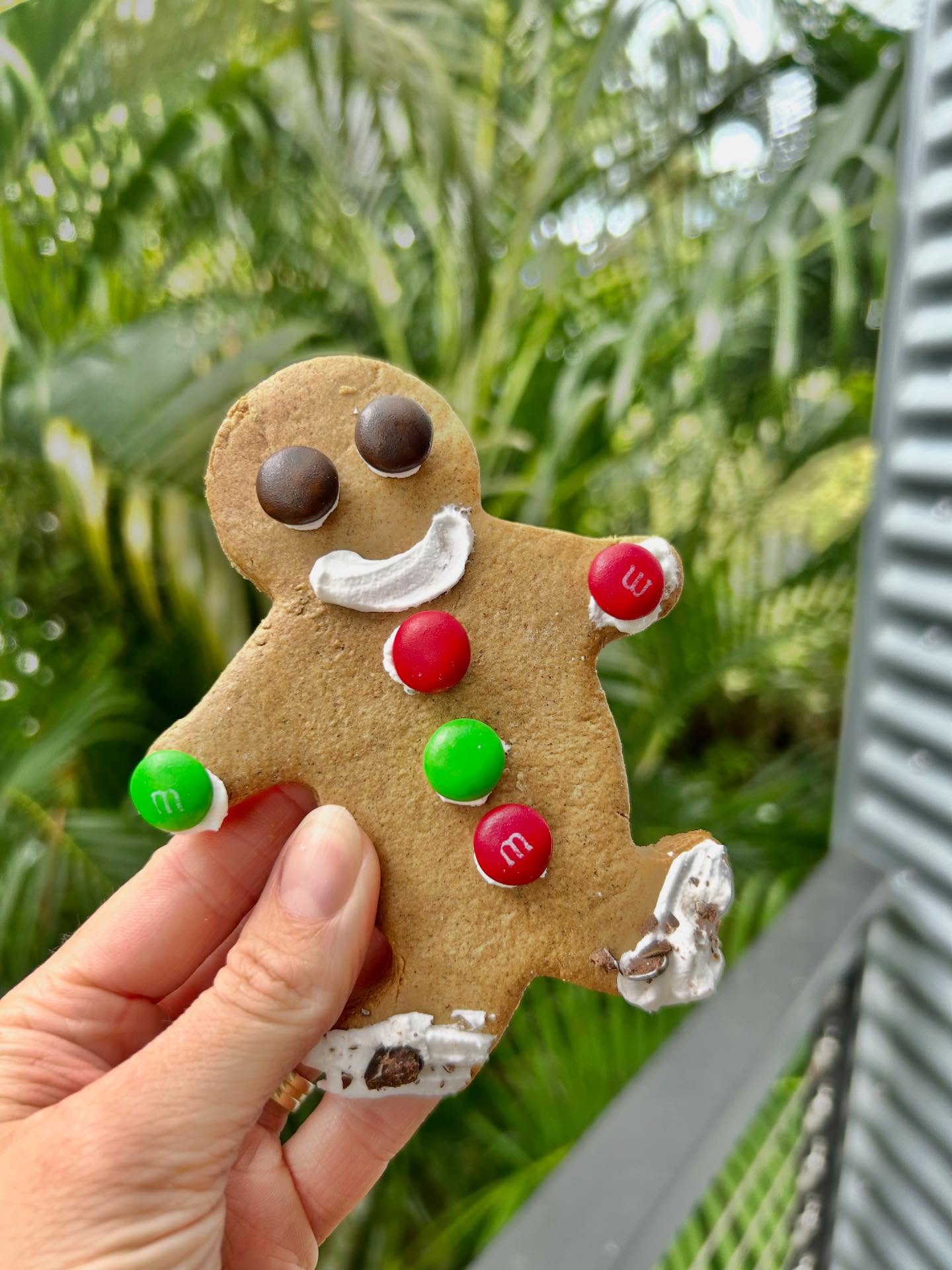 💚♥️ Sending virtual gingerbread and Christmas well wishes your way 💚♥️
I’ll be signing off for a month or so to finish copy edits on my 2026 novel - Sunrise at Sunny Cross Farm - and soak up the school holidays with my family. �
I’m also borrowing a few lines from my friend and fellow author, Sandie Docker, who sent an email out today and put it perfectly:
‘Our thoughts are with all those who are sad or suffering today. Sometimes words can feel inadequate – but they are also how we connect, make sense of the world, and look ahead. Australian stories matter, and we are truly grateful to everyone in our community for your thoughtful conversations, bold ideas, and books that bring us together.’
Take care, folks. See you in 2026 (and thank you @sandiedocker and the @nbrfestival for summing it up so well xx)