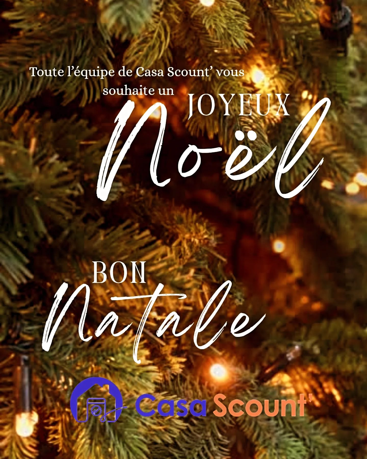 🎄✨ Joyeux Noël ✨🎄
En cette période de fêtes, toute l’équipe de Casa Scount vous souhaite un Noël rempli de douceur, de partage et de précieux moments auprès de ceux que vous aimez.
Merci pour votre confiance tout au long de l’année. Nous avons hâte de continuer à vous accompagner en 2025, ici en Balagne 🤍
Très belles fêtes à tous 🎅🎁
#JoyeuxNoël #CasaScount #Noël2025 #Balagne #Corse EspritDeNoël Gratitude FêtesDeFinDAnnée