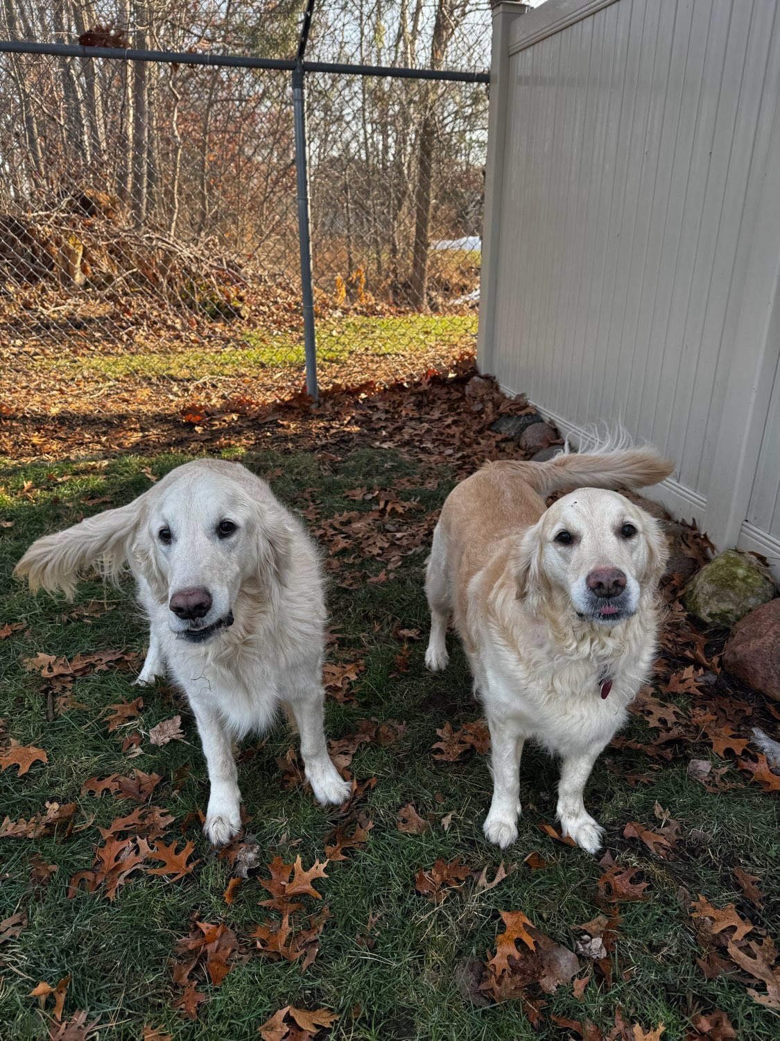 So many happy faces🐾💜