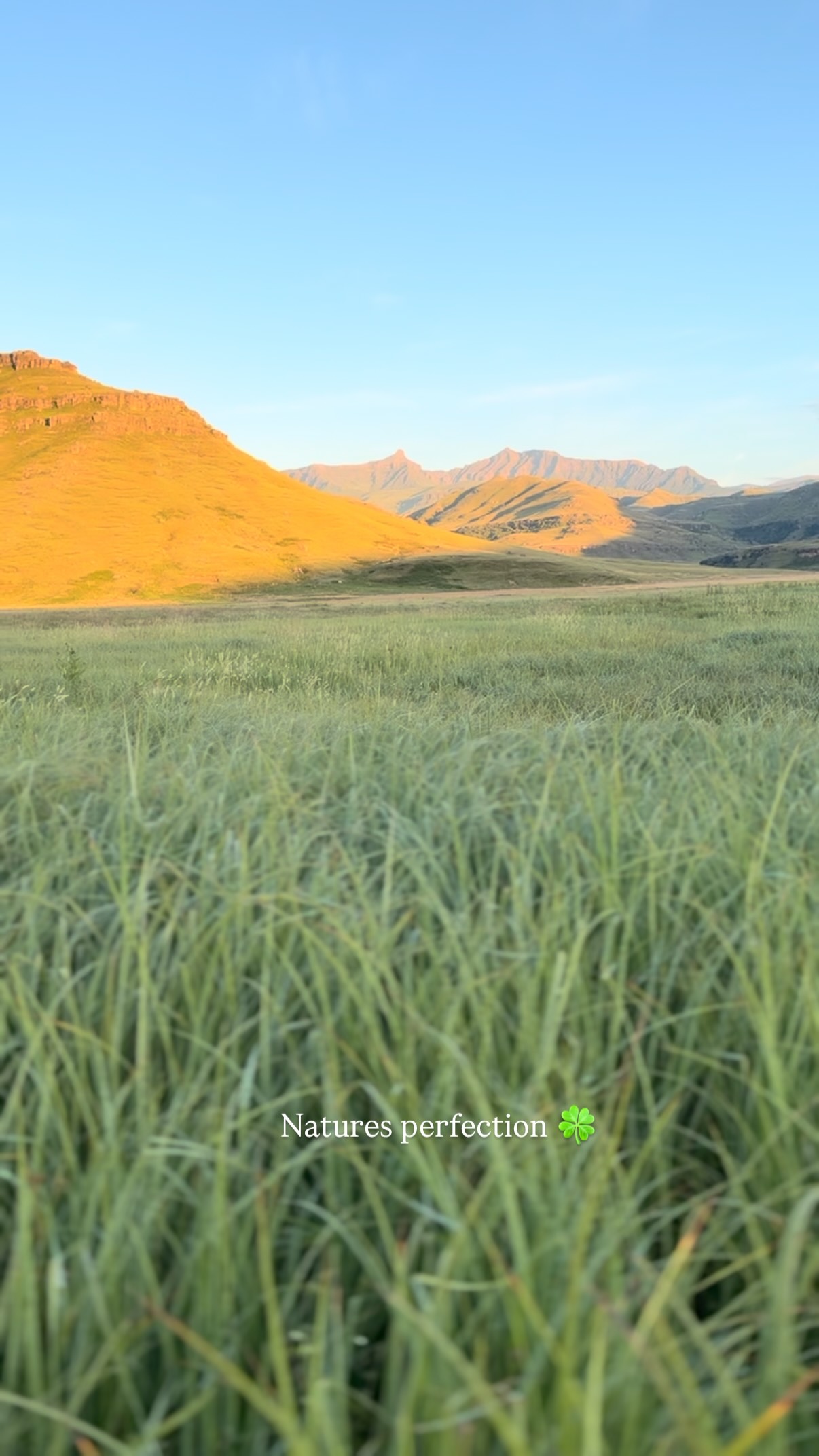 Sometimes the best getaways are the ones far from the noise. Nestled among mountains and endless natural beauty, Giants Cup Wilderness Reserve offers a rare kind of stillness that’s hard to find anywhere else.
www.giantscup.co.za
#nature #drakensberg #naturelovers #drakensbergmountains #beautifuldestinations #goplaces #beautifulsouthafrica #weekendgetaway