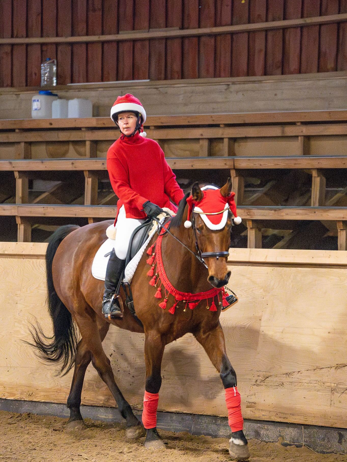 Välipäivinä tapahtuu✨
Tonttujoukko on taas treenannut ja lauantaina 27.12 järjestetään meidän katrilliesitys, jota ovat kaikki tervetulleita katsomaan❤️ Katrilli alkaa 12:45 maneesissa, jossa myös tarjolla pientä makeaa.
Tervetuloa!🤩
Kuvat: @emmyheinonen