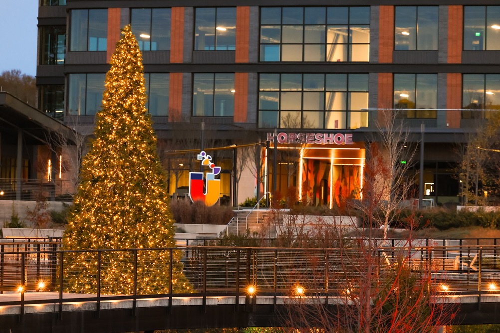 One more moment for our holiday lights display 🎄 We’re grateful to everyone who has visited us this holiday season! Be sure to check out @driftcoffee.kitchen, @cheenirtp, and @nannygoatrtp for their hours this week and next.