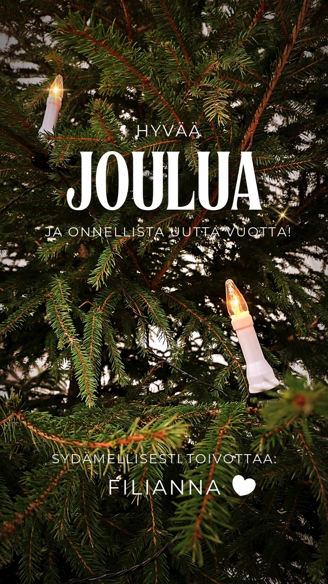 “... ja eikö jo tähtönen taivainen myös sielusi silmihin loista: Joulu, joulu, joulu tullut on!”
Oikein hyvää joulua juuri sinulle! ❤️
Toivoo Filianna
#kuoro #choir #merikanto #Filianna #Joulutulluton