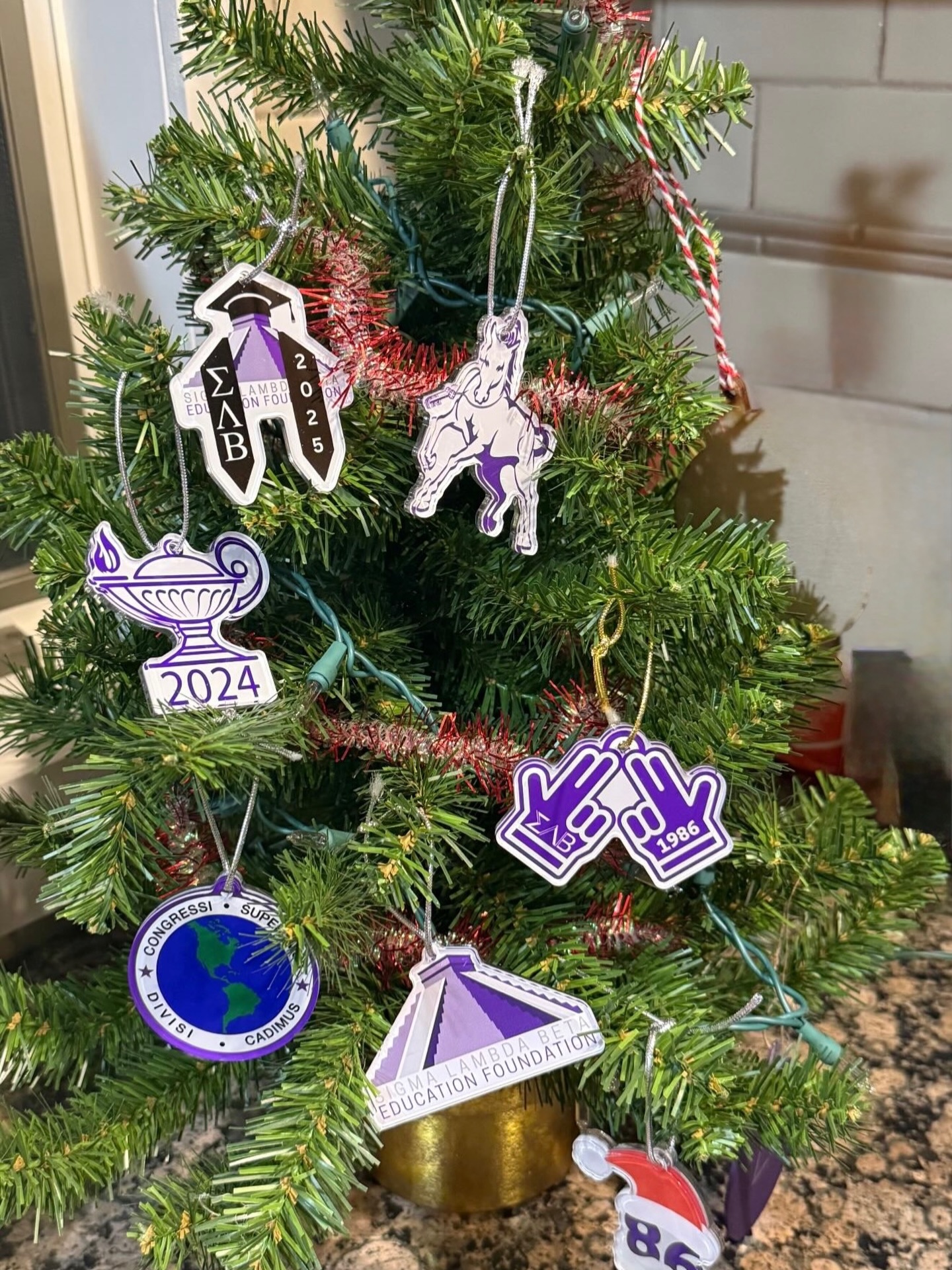 Brothers are in the holiday spirit, are you? Grab your 2025 ornament for $19.86 (or the full 7-piece collection for $90) before they’re gone. 🎄🔥 🐎
👉 https://contribute.slbef.org/ornament.aspx
#86NightsBeforeXmas #SLB1986 #FuelingTheLight