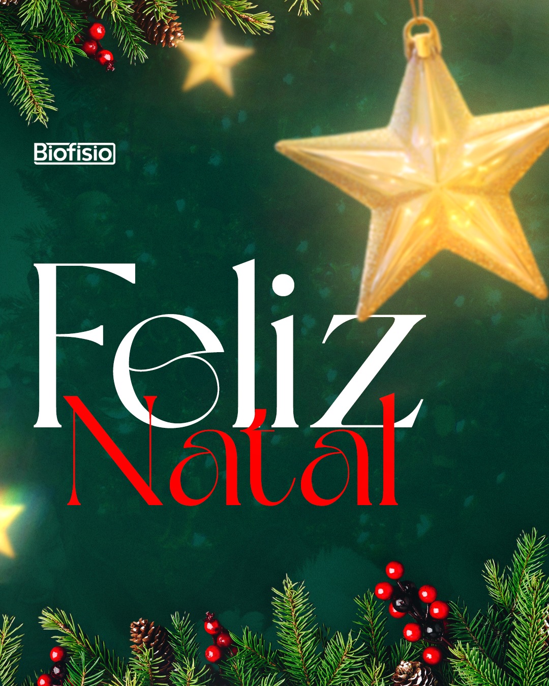 Que este Natal seja uma pausa suave, um momento para reconectar o que realmente importa, e permitir que a esperança continue movendo as nossas vidas, todos os dias.
Feliz Natal. Feliz Esperança! ✨
Avenida Esperança, 237
Centro - Guarulhos - SP
(11) 2382-3003 | (11) 2468-1675
#biofisio #clinicaintegrada #fisioterapia #neurologia #ortopedia #terapia #mobilidade #movimento #esperanca #natal2025