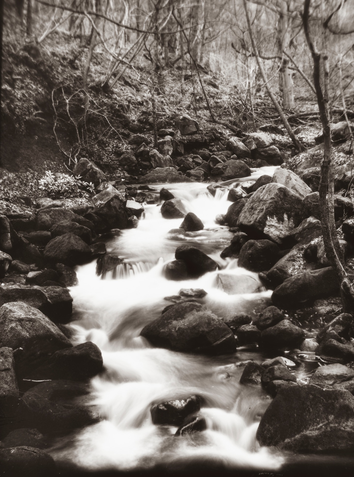 Have you explored the National Trust’s Padley Gorge in The Peak District National Park, Derbyshire? Plenty of water running through the gorge and woodland. Photographed here with my 1900s wood & brass bellows camera onto 5x7” film. Very low light menat long exposures. The fuji film is very high contrast. #peakdistrictnationalpark #peakdistrictphotographer #longexposurephotography #largeformat #nationaltrust