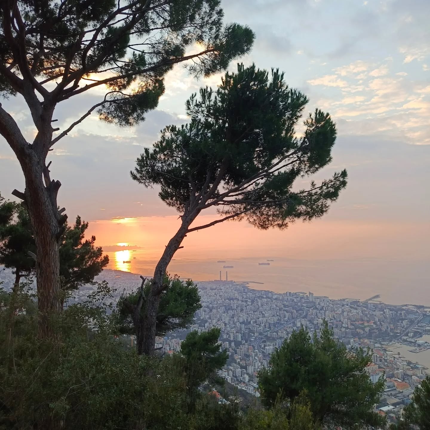 One of Lebanon’s most iconic sunsets 🌅
Harissa views that stay with you 🇱🇧✨
#discoverlebanontours
#LebanonBeauty
#harissa
