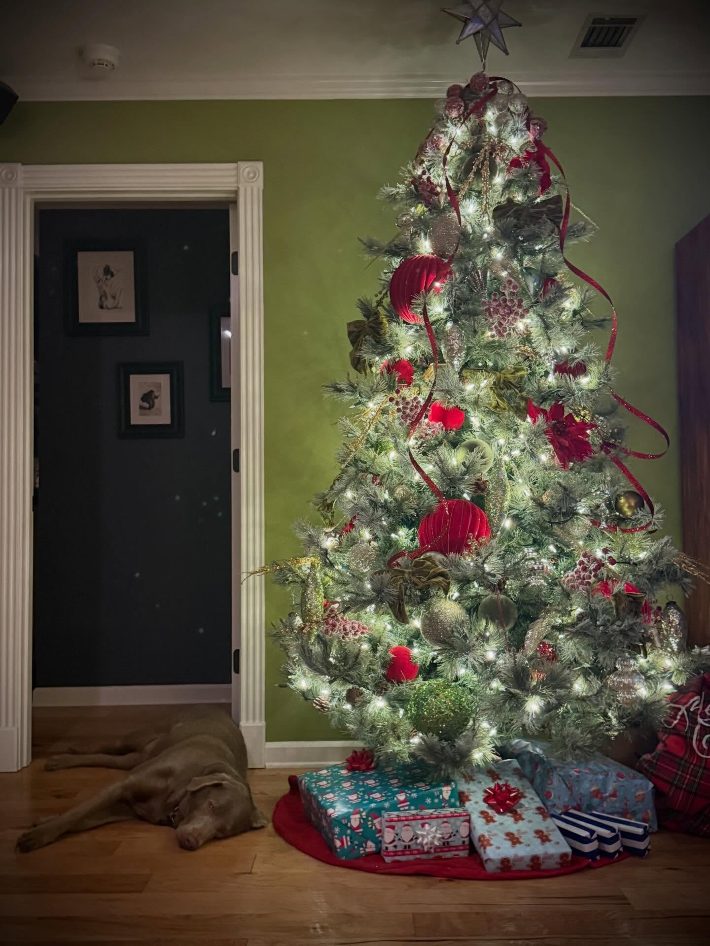 Merry Christmas to all, and to all a good night!
#abovestandardsllc #merrychristmas🎄