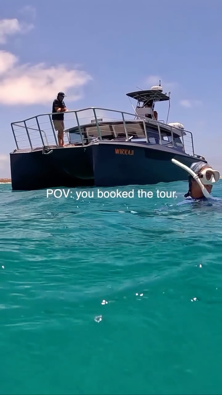 POV: you booked the tour! … and this is your pick up⚡️
Tours running over summer - don’t miss out! Book Now 💙
#coralbay #ningalooreef #swimwithmantarays