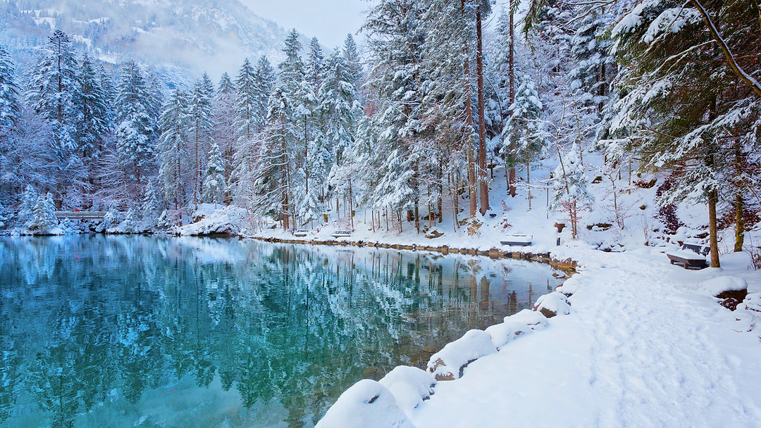 Winter has arrived! ❄️ Time to pause, prepare, and press forward. Let's embrace this season of reflection and growth. Join us on this journey. Link in Bio