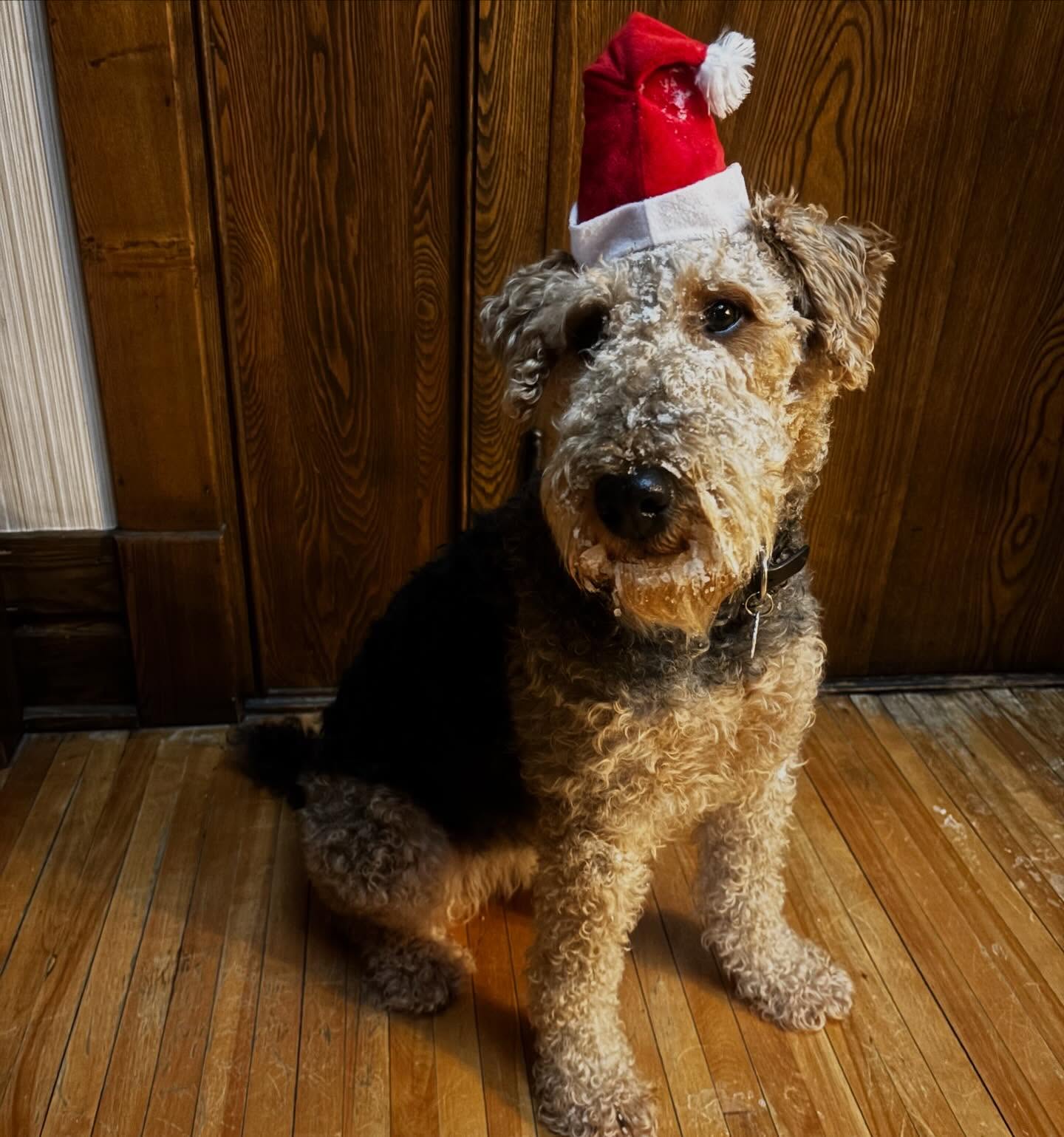 🎄Merry Christmas and Happy Holidays from my crew to you! ⛄️ There’s magic and community that make this time of year special. I’m grateful for everyone who has shown up, spoken up, and been an integral part of moving our City forward. Cheers to the holidays 🥂
