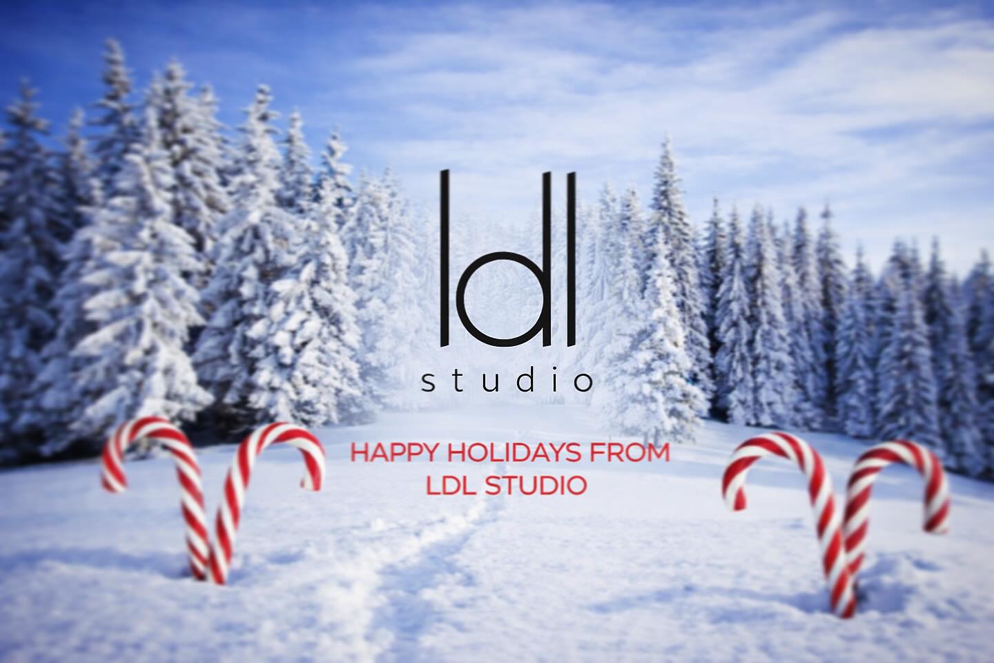 From the Studio, with love. 🕊️
Wishing you a joyful holiday and a peaceful start to 2026.
#LDLStudio #SeasonOfLight #DesignCommunity