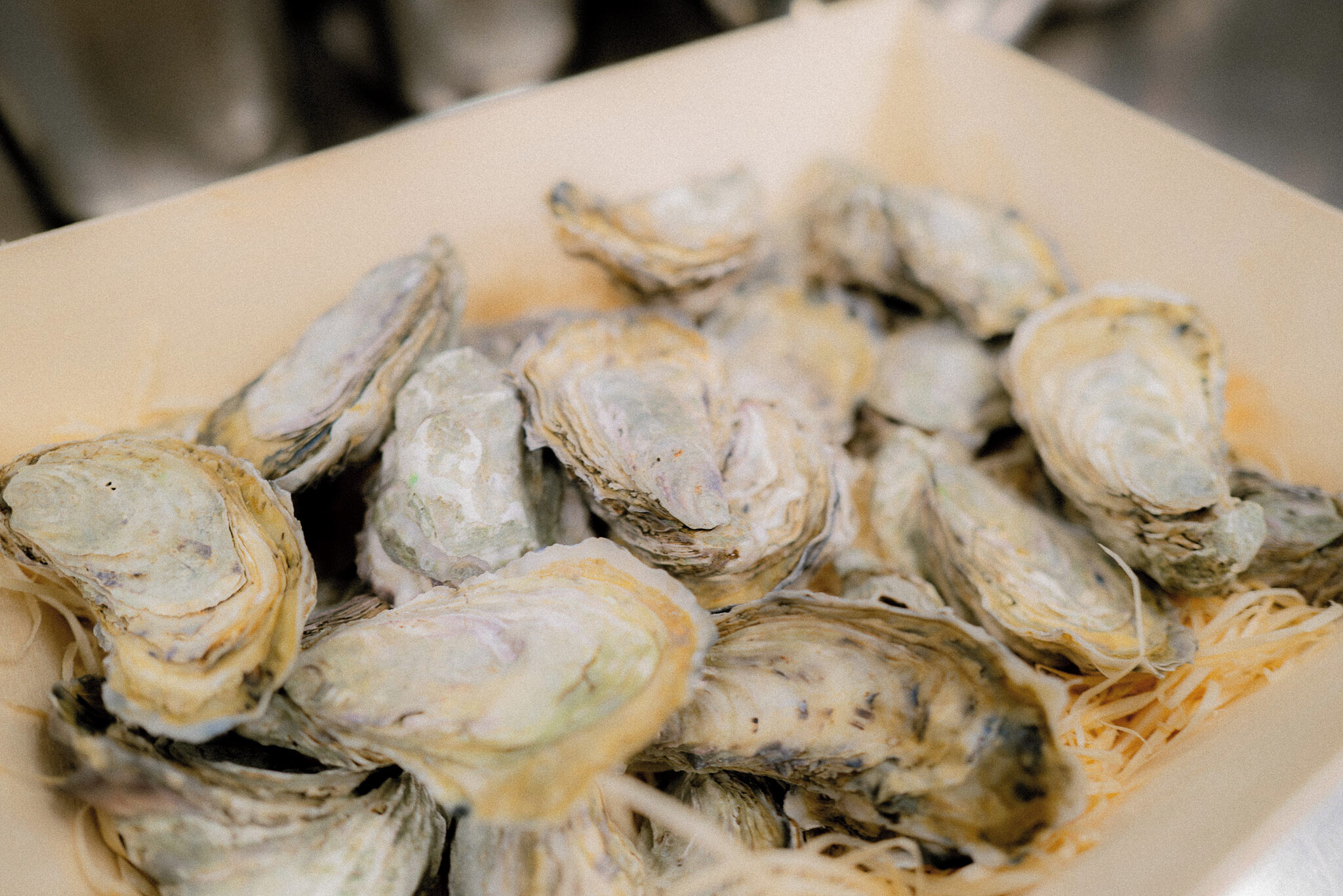 Am Montag den 29. & Dienstag den 30. Dezember sind wir zusätzlich ab 17 Uhr für euch da! 🌙✨
Kommt vorbei, genießt leckeres Essen und einen gemütlichen Abend – Vorbeikommen lohnt sich. 💙🐇
Tischreservierung online.
@oberlandauster 💙💙
.
.
.
#Geöffnet #Feinschmecker #GenussKüche #QualitätDieManSchmeckt #EinfachGenießen #ImmenstadtImAllgäu