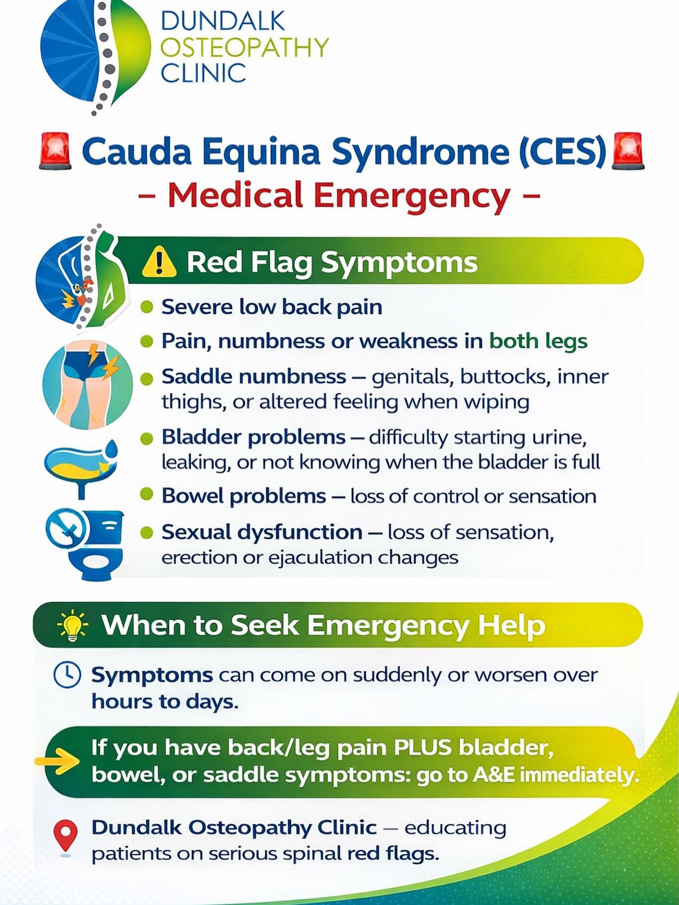 🚨 Cauda Equina Syndrome (CES) – Medical Emergency 🚨
Cauda Equina Syndrome is rare but very serious! It happens when nerves in the lower spine are severely compressed and needs urgent A&E treatment to prevent permanent damage.
⚠️ Red Flag Symptoms 🚩🚩🚩
• Severe low back pain AND….
• Pain, numbness or weakness in both legs
• Saddle numbness – genitals, buttocks, inner thighs, or altered feeling when wiping
• Bladder problems – difficulty starting urine, leaking, or not knowing when the bladder is full
• Bowel problems – loss of control or sensation
• Sexual dysfunction – loss of sensation, erection or ejaculation changes
⏱ Symptoms can come on suddenly or worsen over hours to days.
👉 If you have back/leg pain PLUS bladder, bowel, or saddle symptoms: go to A&E immediately.
📍 Dundalk Osteopathy Clinic – educating patients on serious spinal red flags. #dundalkosteopathyclinic #dundalkosteo #backpain #sciatica #backpainsucks