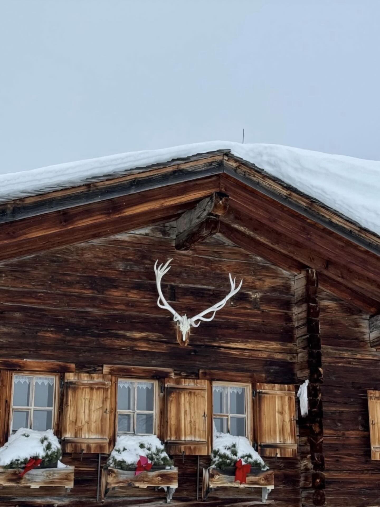 🦌Winter landscapes have a way of sharpening perspective — and style.🌲
Explore the jackets online at www.sanoe-collection.com