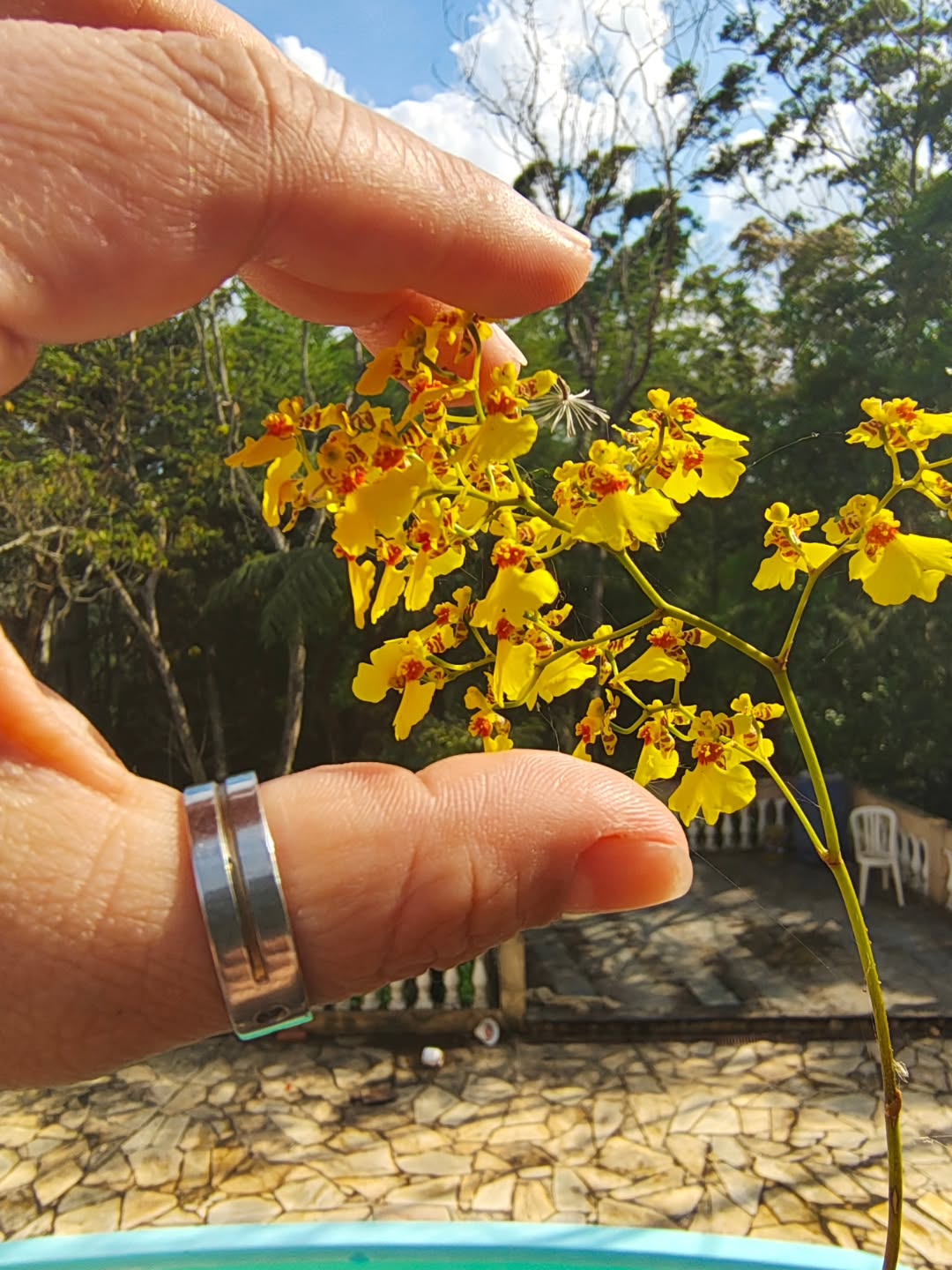 Diz que não parecem fadinhas dançarinas 🧚💃
Boas festas a todos!