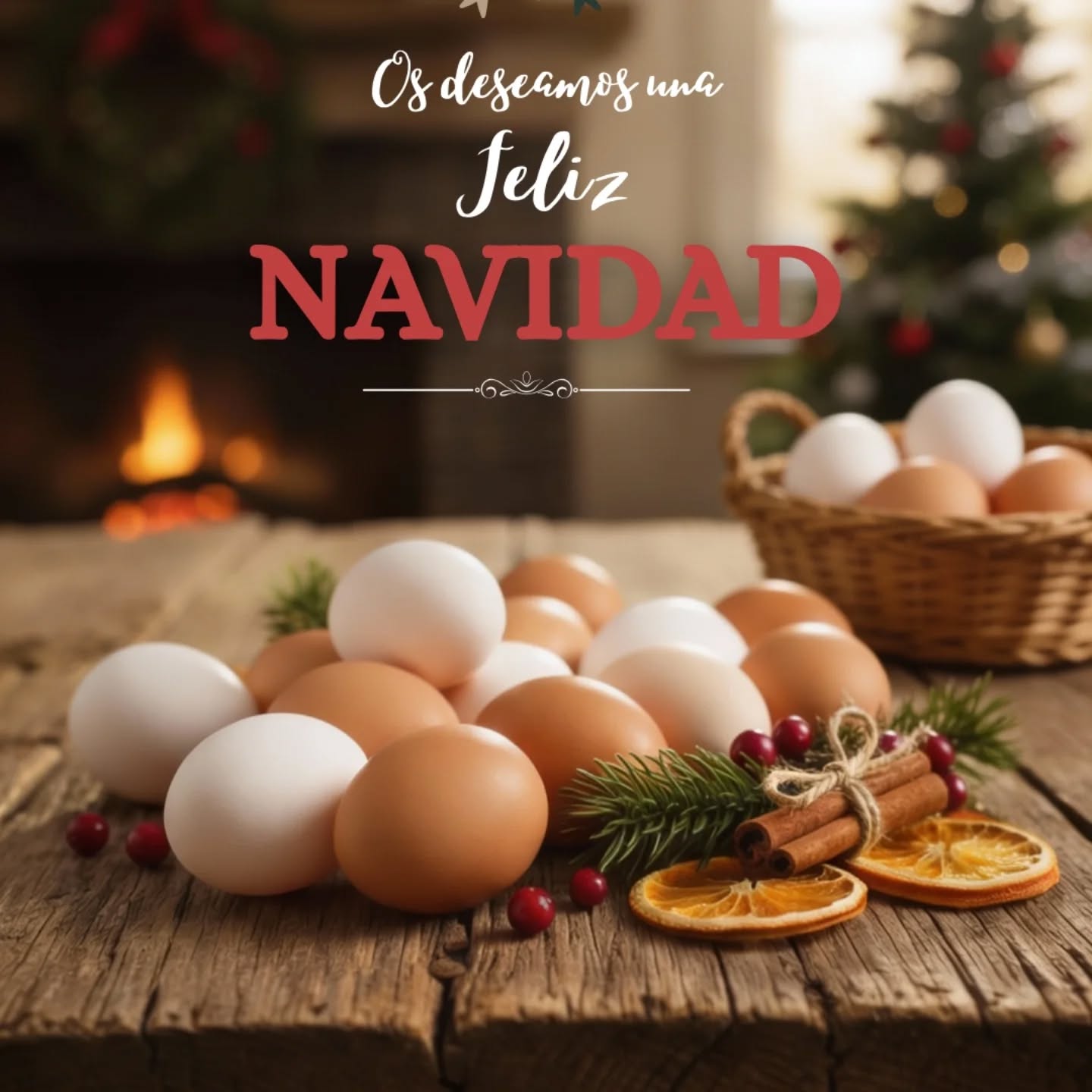 ¡Feliz Navidad a tod@s! 🎄💫
Os deseamos que compartáis unos bonitos días rodeados de familia y amigos. 🙏