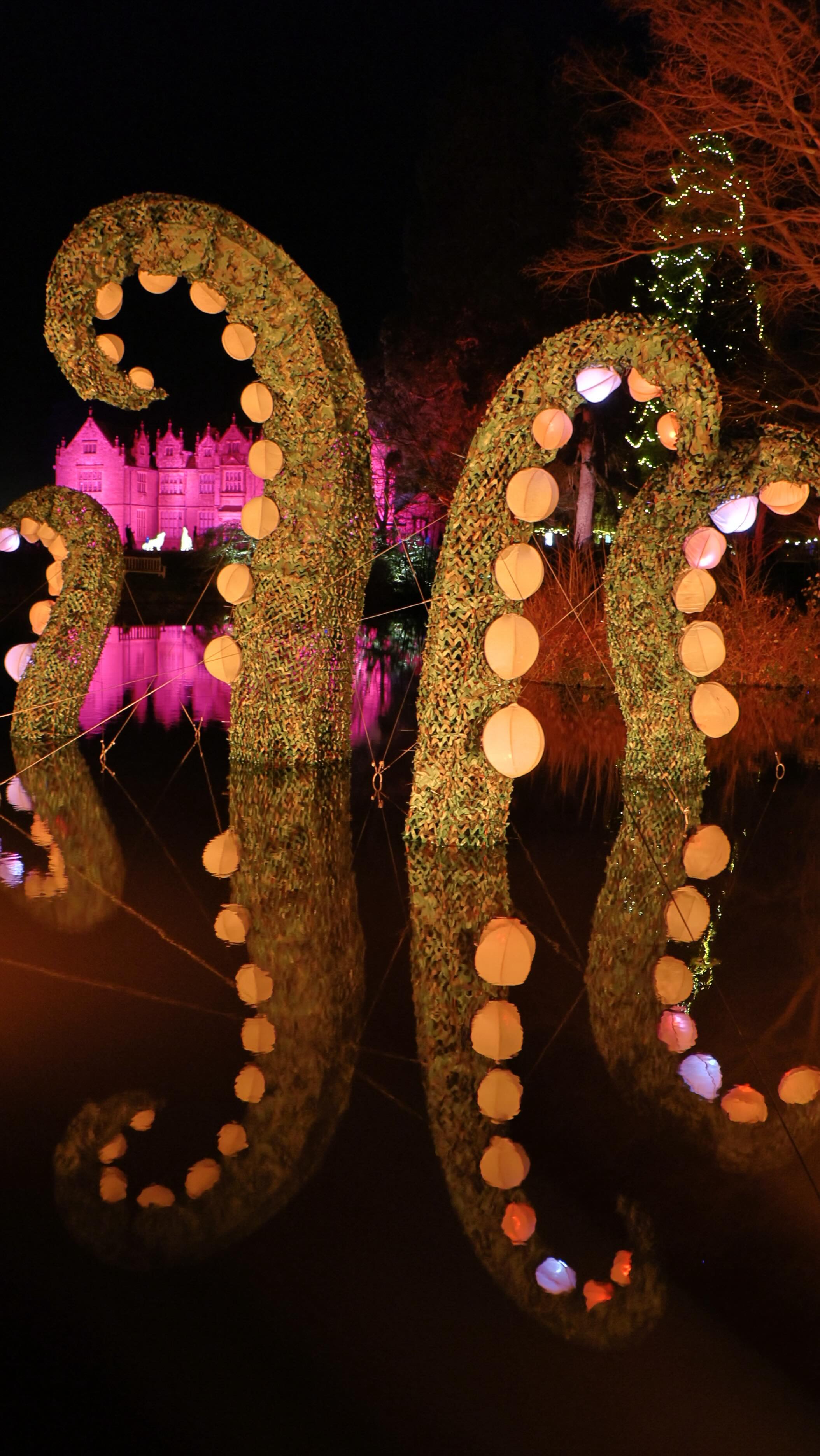 They say that when the wild dark falls, the garden doesn’t sleep - it glows.
Lanterns become stars, paths become stories, and the trees of Wakehurst whisper back their song.
At Glow Wild, seeds spark tales, creatures of light roam between trees, and the night feels like a place you’ve always known.
#ad #wakehurst #glowwild #lanterns #lighttrails