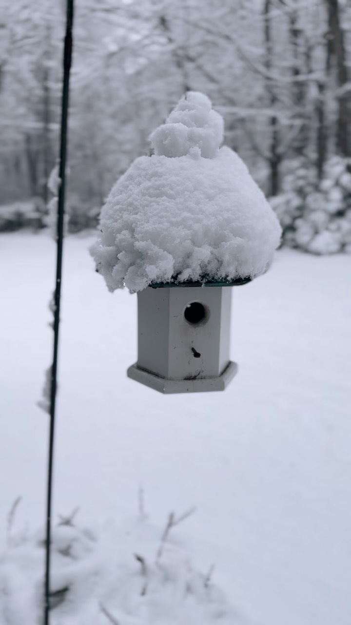 Awaiting on some snow 🤍