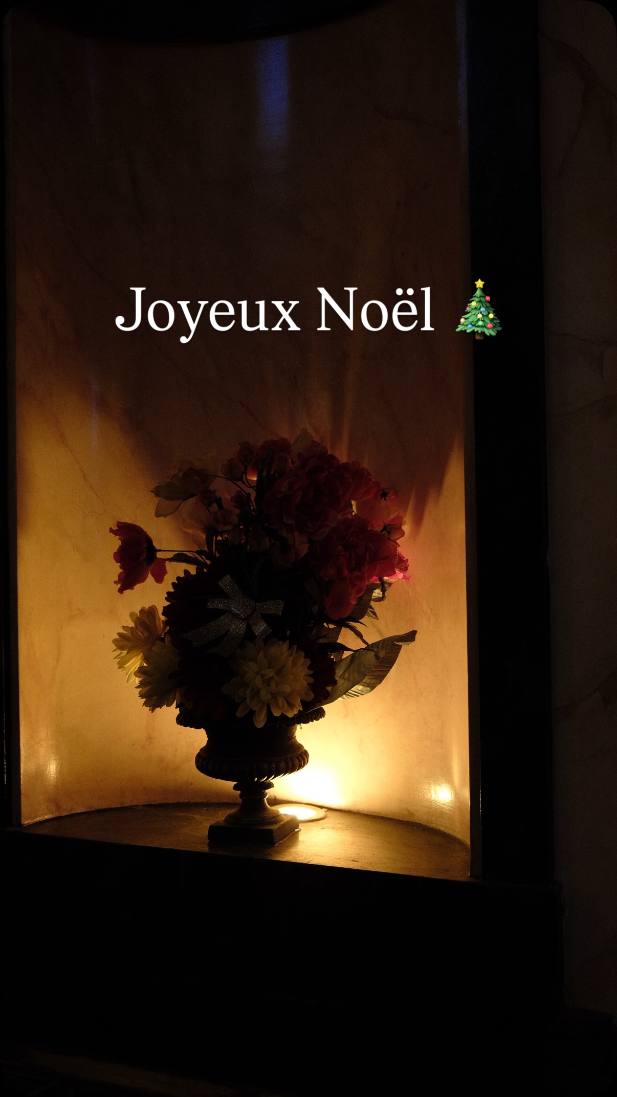 En ce soir de réveillon,
nous avions envie de dire merci.
Merci à toutes celles et ceux qui sont venus à notre rencontre cette année,
merci aux visiteurs qui ont franchi les portes du château,
merci à celles et ceux qui nous suivent ici,
qui partagent, qui commentent,
et qui nous adressent des mots d’une gentillesse infinie.
Cette année 2025 a été faite de rencontres, de travail dans l’ombre,
de moments simples et précieux,
et de souvenirs que nous garderons longtemps.
Très belles fêtes de fin d’année à vous,
et joyeux Noël. ✨🎄
#joyeuxnoël #réveillon #bellesoirée #merci