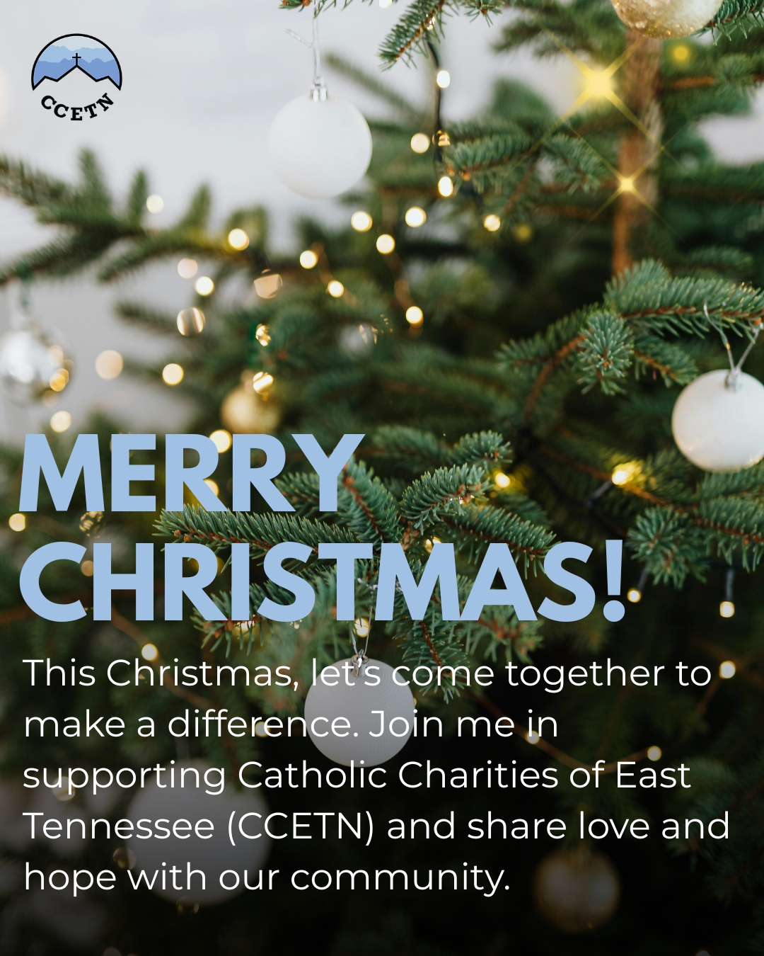 🎄✨ This Christmas, let's spread love and joy with Catholic Charities of East Tennessee! 🌟 Join me in supporting our mission to empower and uplift the vulnerable in our community. Together, we can make a difference. #ChristmasSpirit #GiveBack #CCETN #SpreadLove