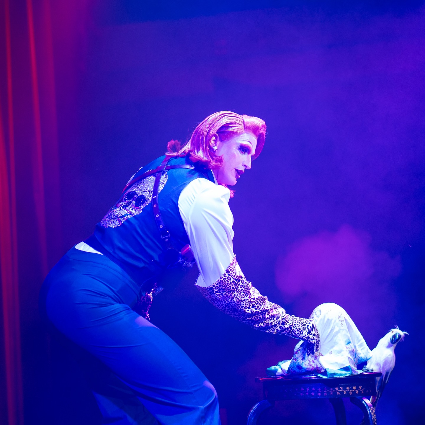 It amazes me that people find it quite bizarre
When seeing creatures in a jar
A kitten or a camel, a reptile or a mammal
Any kind of beast, as long as it’s deceased
Take your last breath, oh yes!
PRETTY LITTLE DEAD THINGS
Pic by @steve_w_grams
Location @themillerszurich
@ohg.productions.official
#gay #dragqueen #millers #zürich #paddington