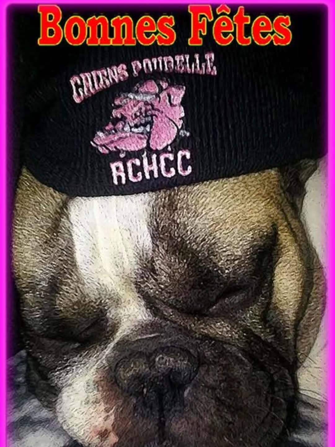 Joyeuses fêtes à tous les chiens poubelle de Carqueiranne. Hyères.la crau.le pradet.du Rct . ollioules.st jean .la Seyne. Le Mourillon.sollies pont .la Londe. Partout sur la planète rugby .ecttt