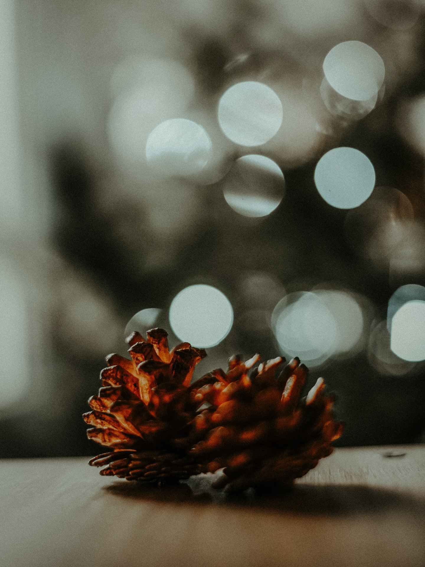 En cette période de fêtes, prenons le temps de ralentir, de profiter de ceux qu’on aime, de partager un repas, un rire, un instant simple mais précieux. 🎄
J’ai une pensée particulière pour ceux qui sont seuls, hospitalisés ou malades, qui ne peuvent pas fêter Noël comme ils l’auraient voulu. Recevez toute ma bienveillance : il n’y a aucune honte à vivre ces moments différemment. Le vent tournera. Si vous êtes seul ce soir, offrez-vous un instant rien qu’à vous : un bon film, un moment cocooning, un repas qui vous fait plaisir… 🌙
Je vous souhaite à toutes et tous de très belles fêtes et un excellent réveillon, entourés… ou juste avec vous ! 🤎
#aixenprovence
#souvenirs
#fetesdefindannee
—
Photographe Aix-en-Provence · Dijon · Réveillon