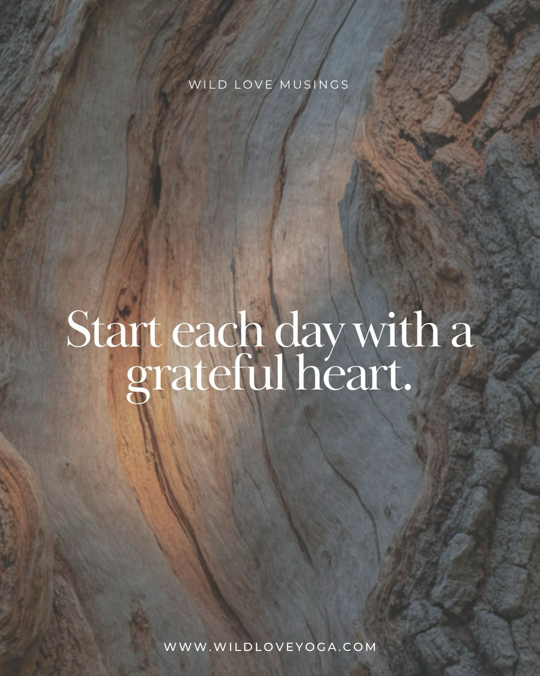 If there is one thing that we can gift ourselves at this time of year, let it be gratitude. It’s a beautiful practice that helps us see the light and joy within the waves of life. It will see us through the changing seasons, externally and internally. It will keep us centred as we move and grow through life.
As I close my year and turn off social media, emails & my phone I reflect on this pause in my life over the next two weeks. A time of stillness to find a deep breath and quieten the mind, a chance to reflect on all I have felt this year. Reflecting with gratitude and honouring the growth that comes with the ability to stay open, something that yoga teaches us. Stay open. 🙌
Im so grateful to share classes, workshops, events, private gatherings and festivals this year and feel so lucky for my energy to grow and bloom and connect with new faces and places. I’m so grateful for my beautiful friends and their love & support and the sisterhood that has grown into a deep bond I’ve never experienced until this year. I’m grateful for my partner for growing with me & loving me, for creating ideas and a vision that lifts him up & lifts us up together. For my son for being a beam of light that brings laughter & an innocence that reminds me daily of growing from a place of the unknown. For everyone I have met this year, those who have trusted me to share my guidance, for those who have sat in the same spaces, for those who have held me as I continue my own personal practice, for those who open their hearts from a place of authenticity, for those who have helped me gain clarity & boundaries. Thank you.
Take a moment today to breathe it all in and say “thank you” for another year of magic and memories.
Sending you all a Christmas & New Year filled with warmth and love.
Gratitude,
V x