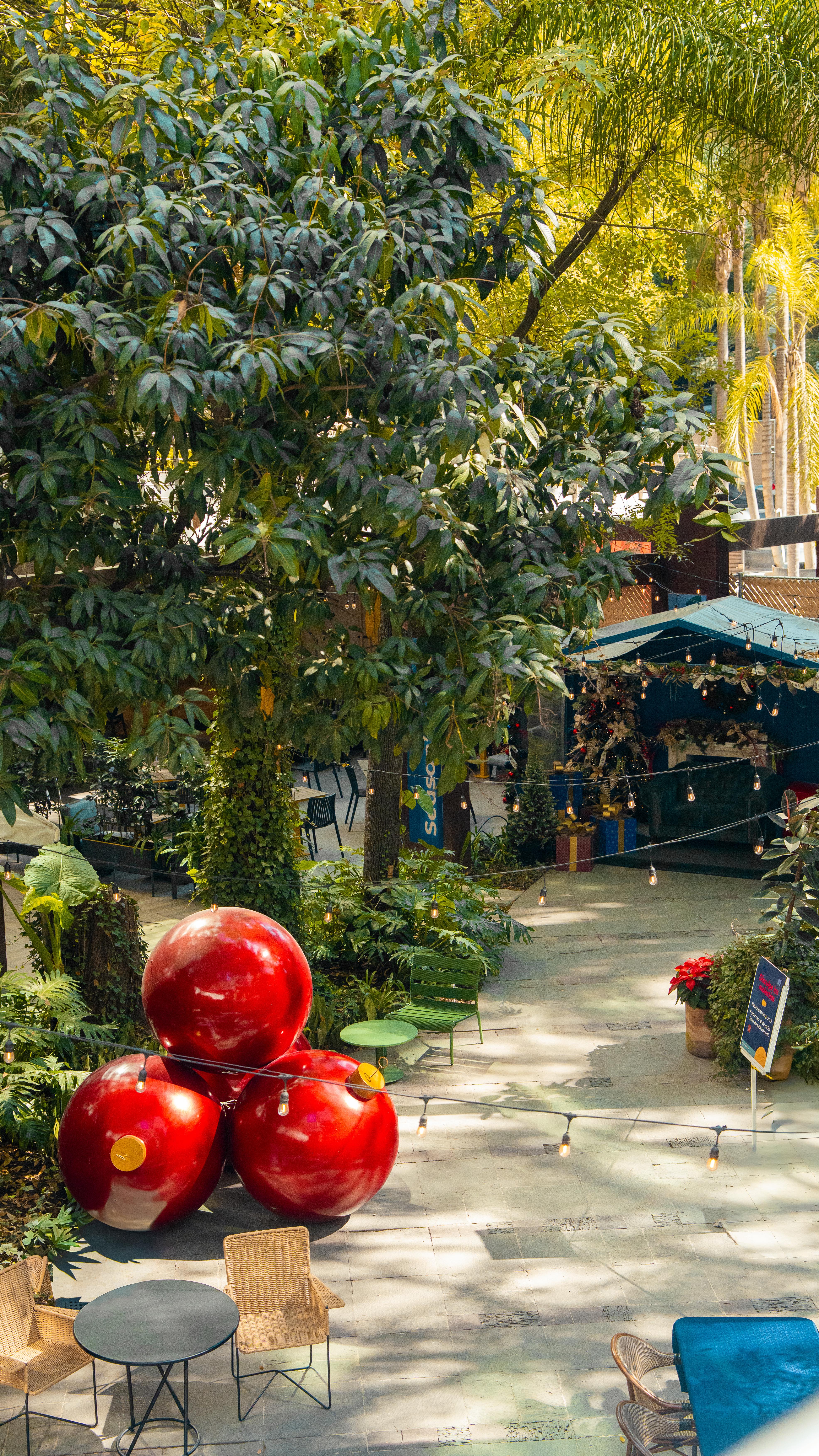 La magia de la Navidad vive en los pequeños momentos en familia. 🎄
Que la paz, el amor y la alegría llenen su hogar.
¡Feliz Navidad! ✨