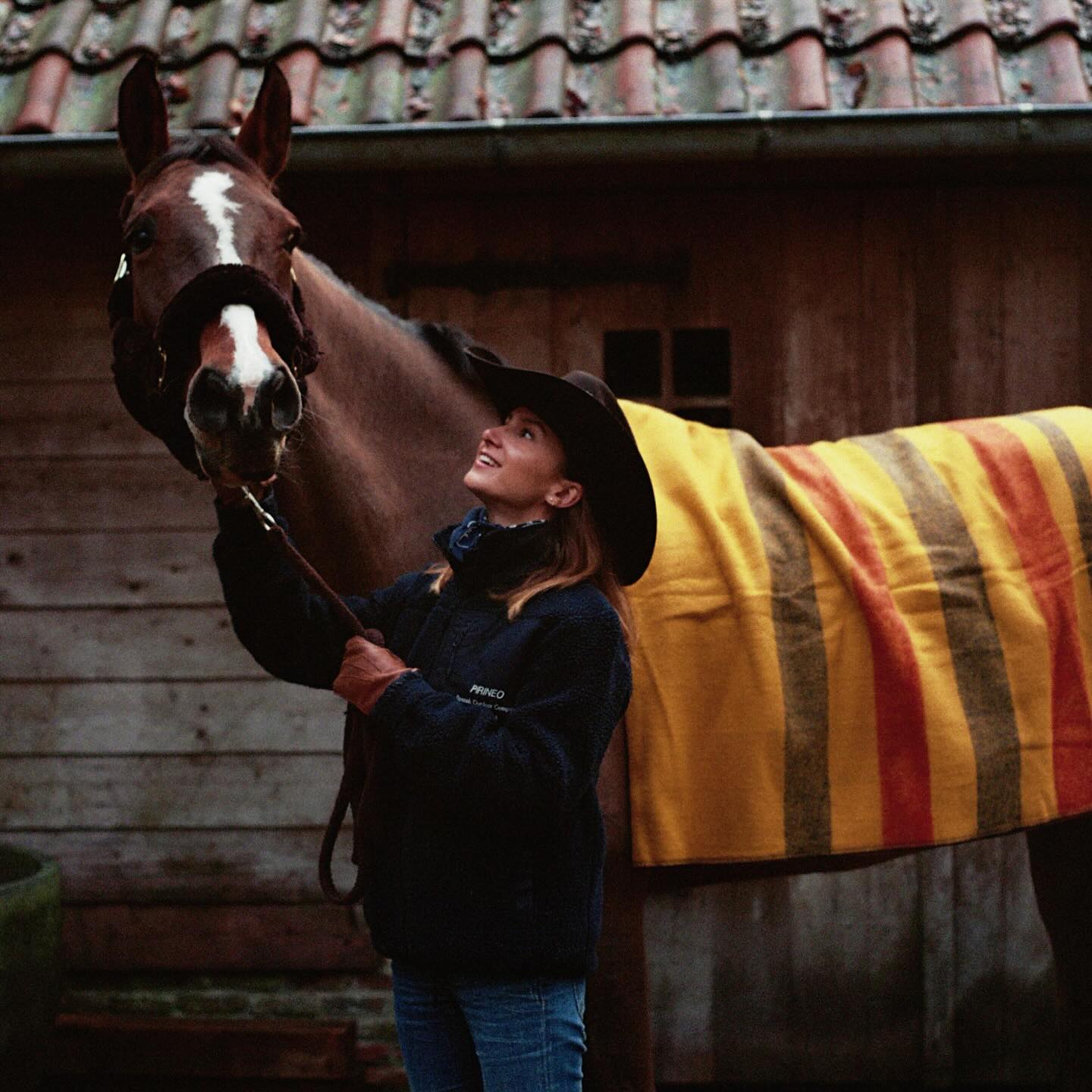 ✨ Merry Christmas and a wonderful 2026 ✨
#horses #horsebackriding #horsebackridinglessons #horsereflectedcoaching #mbequitalents